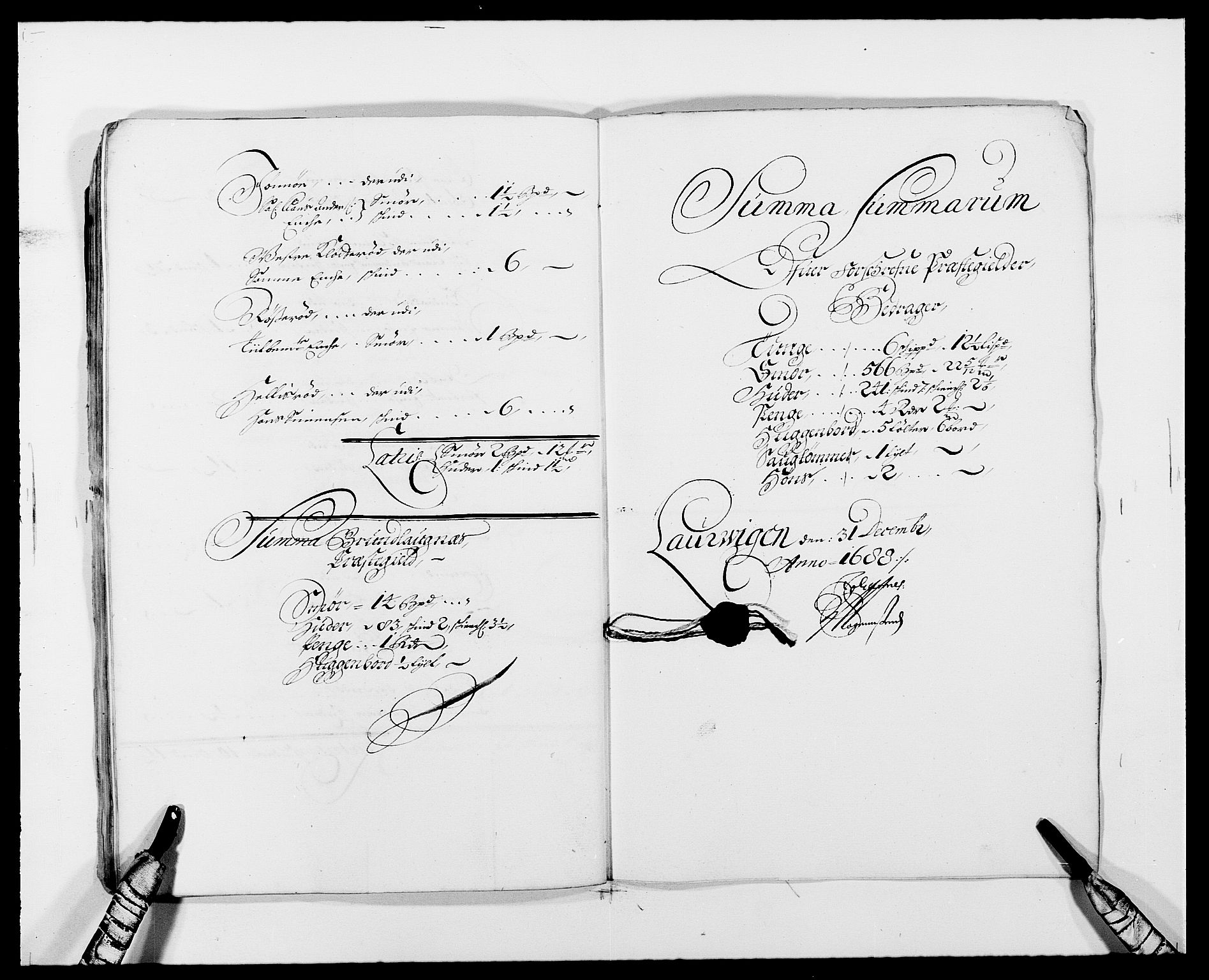 Rentekammeret inntil 1814, Reviderte regnskaper, Fogderegnskap, AV/RA-EA-4092/R33/L1971: Fogderegnskap Larvik grevskap, 1688-1689, s. 59
