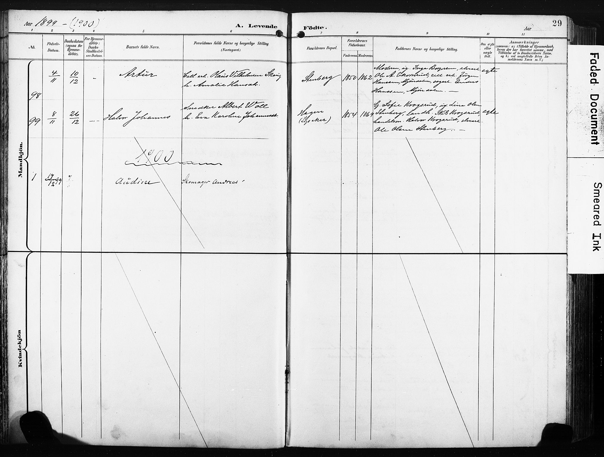 Nedre Eiker kirkebøker, AV/SAKO-A-612/F/Fa/L0005: Ministerialbok nr. 5, 1898-1905, s. 29
