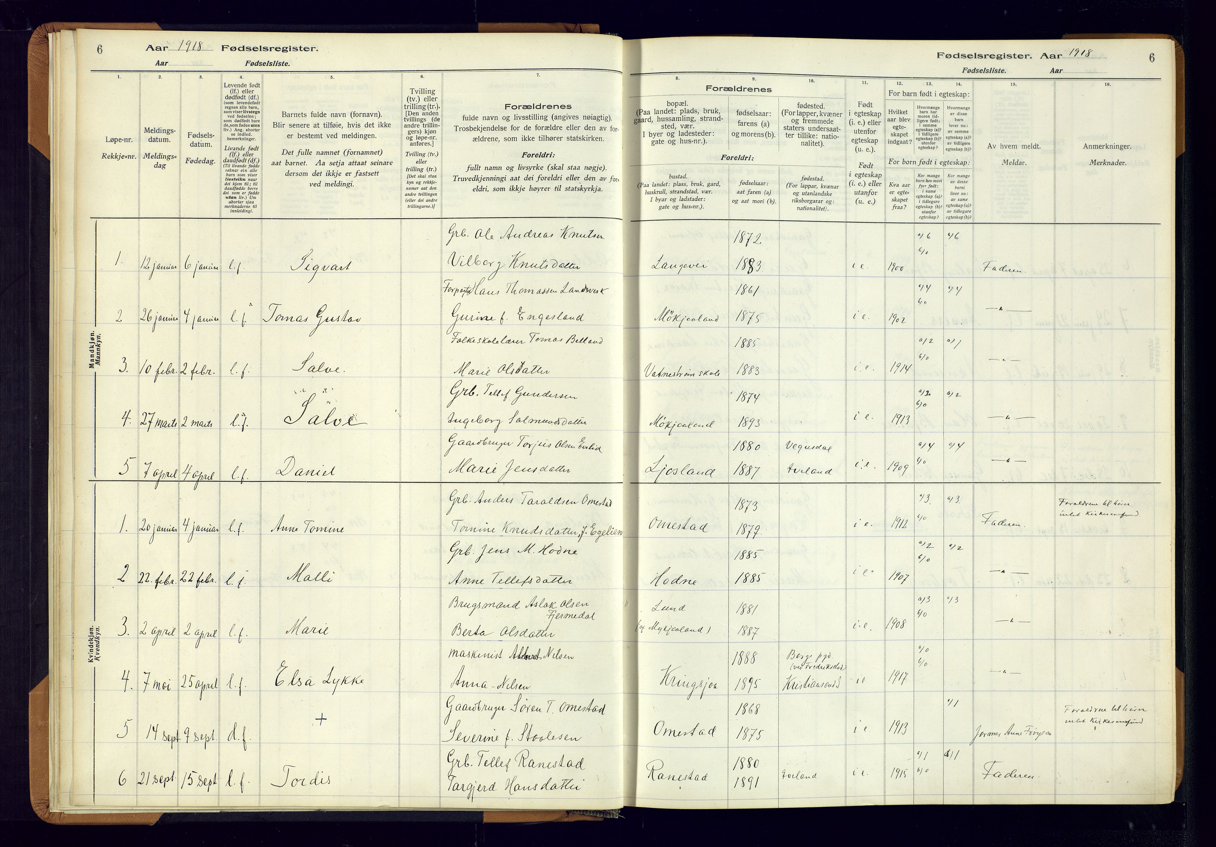 Evje sokneprestkontor, AV/SAK-1111-0008/J/Jc/L0003: Fødselsregister nr. II.4.3, 1916-1982, s. 6