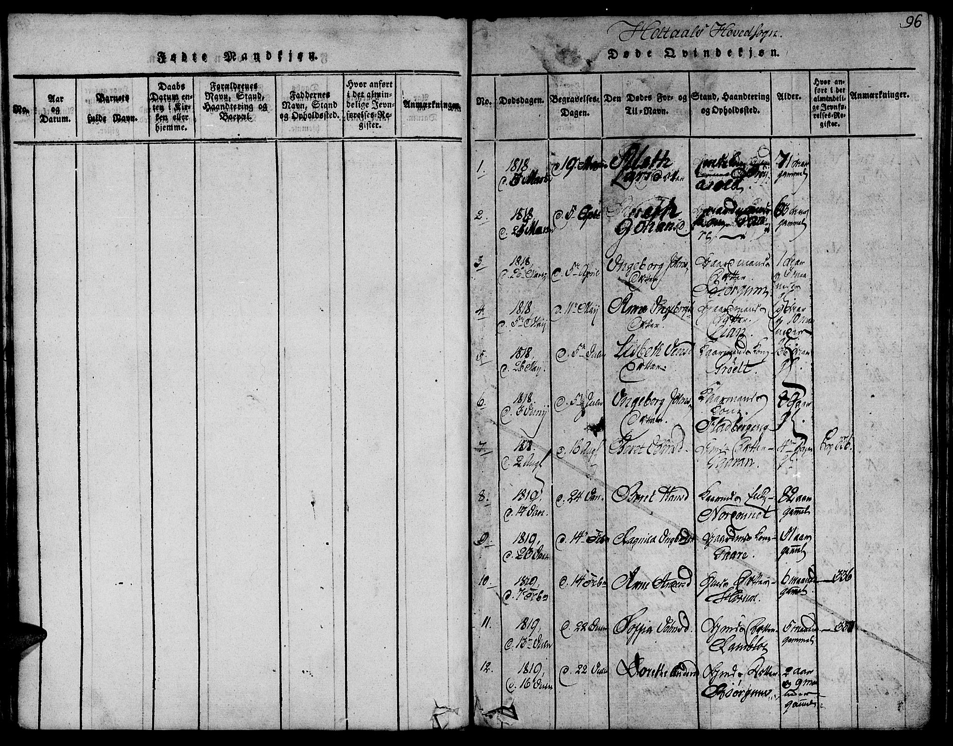 Ministerialprotokoller, klokkerbøker og fødselsregistre - Sør-Trøndelag, AV/SAT-A-1456/685/L0954: Ministerialbok nr. 685A03 /1, 1817-1829, s. 96