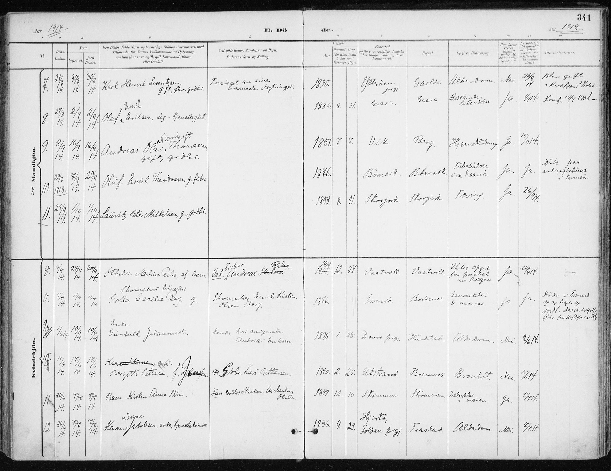 Kvæfjord sokneprestkontor, AV/SATØ-S-1323/G/Ga/Gaa/L0006kirke: Ministerialbok nr. 6, 1895-1914, s. 341