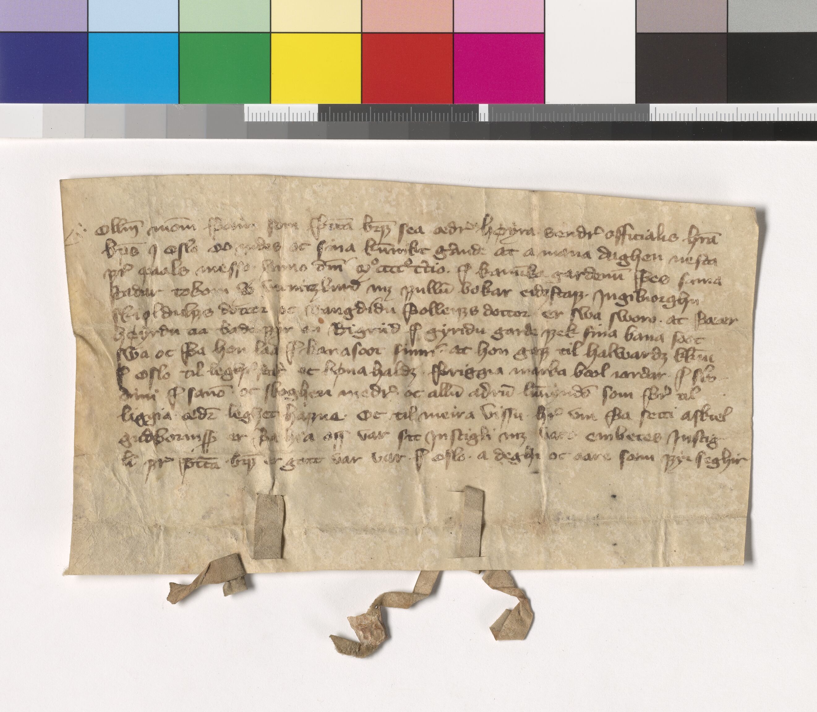 Riksarkivets diplomsamling, AV/RA-EA-5965/F05/L0202: NRA AM fasc. 82 nr. 3 - fasc. 83 nr. 4, 1401-1405, s. 15