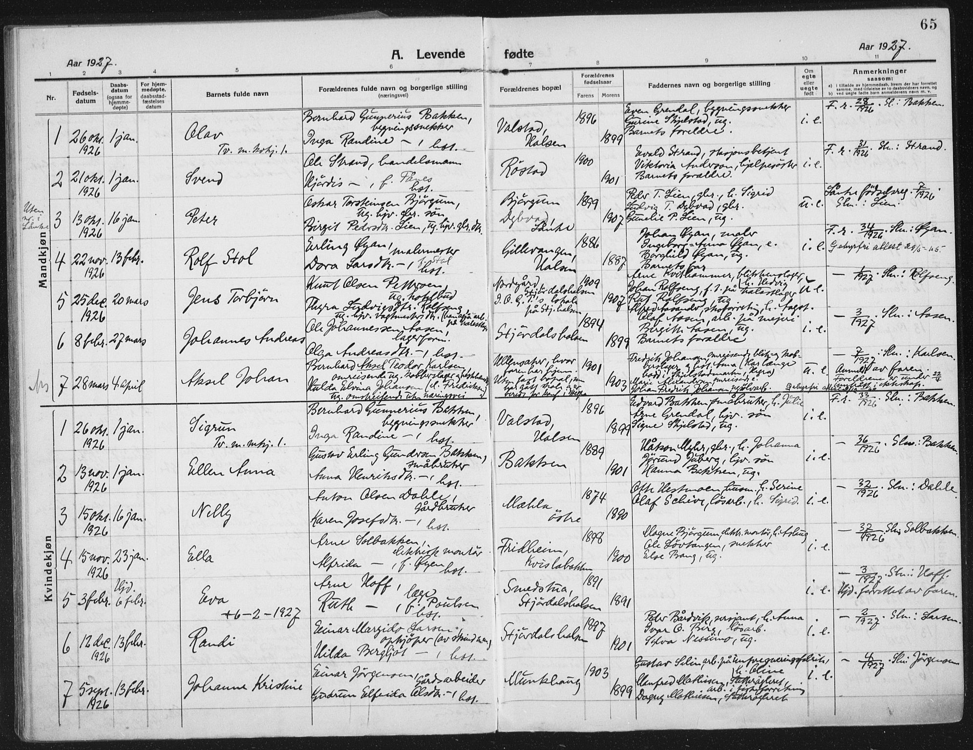 Ministerialprotokoller, klokkerbøker og fødselsregistre - Nord-Trøndelag, SAT/A-1458/709/L0083: Ministerialbok nr. 709A23, 1916-1928, s. 65