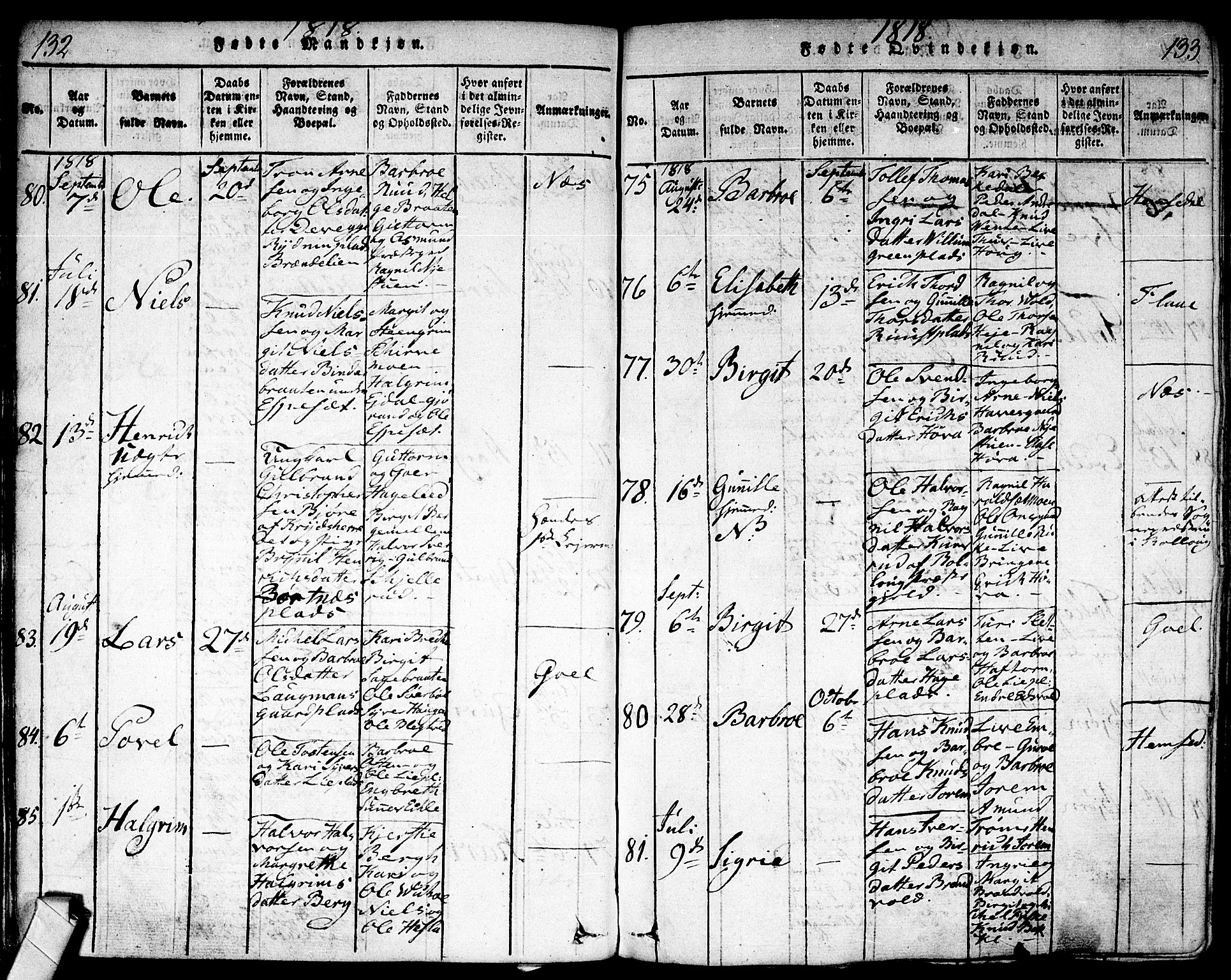 Nes kirkebøker, AV/SAKO-A-236/F/Fa/L0007: Ministerialbok nr. 7, 1815-1823, s. 132-133