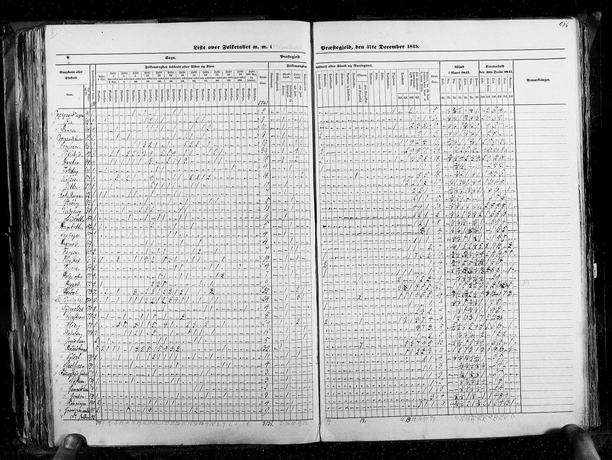 RA, Folketellingen 1845, bind 3: Hedemarken amt og Kristians amt, 1845, s. 215
