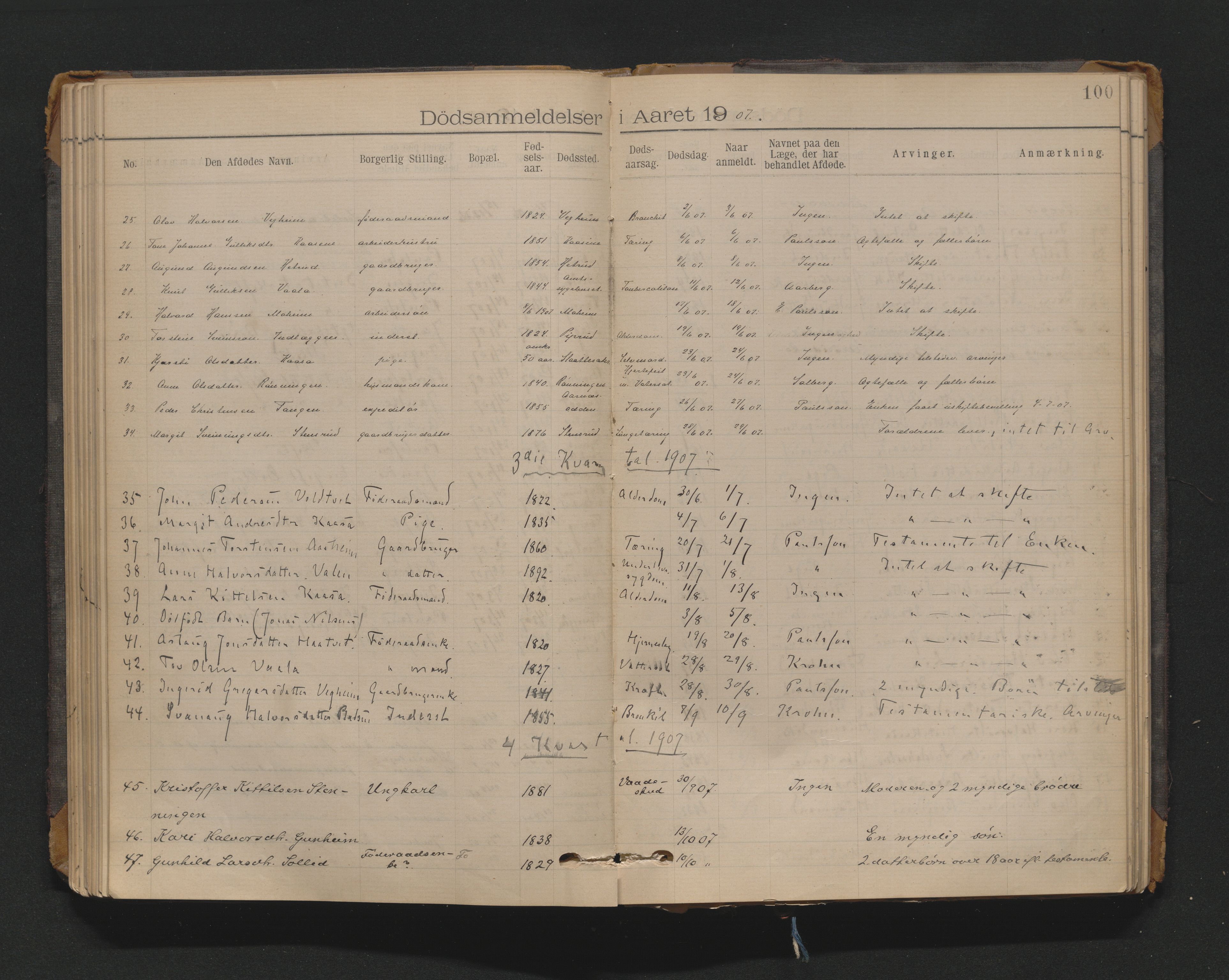 Nedre Telemark sorenskriveri, AV/SAKO-A-135/H/Ha/Haa/L0002: Dødsanmeldeldelsesprotokoll, 1901-1924, s. 100