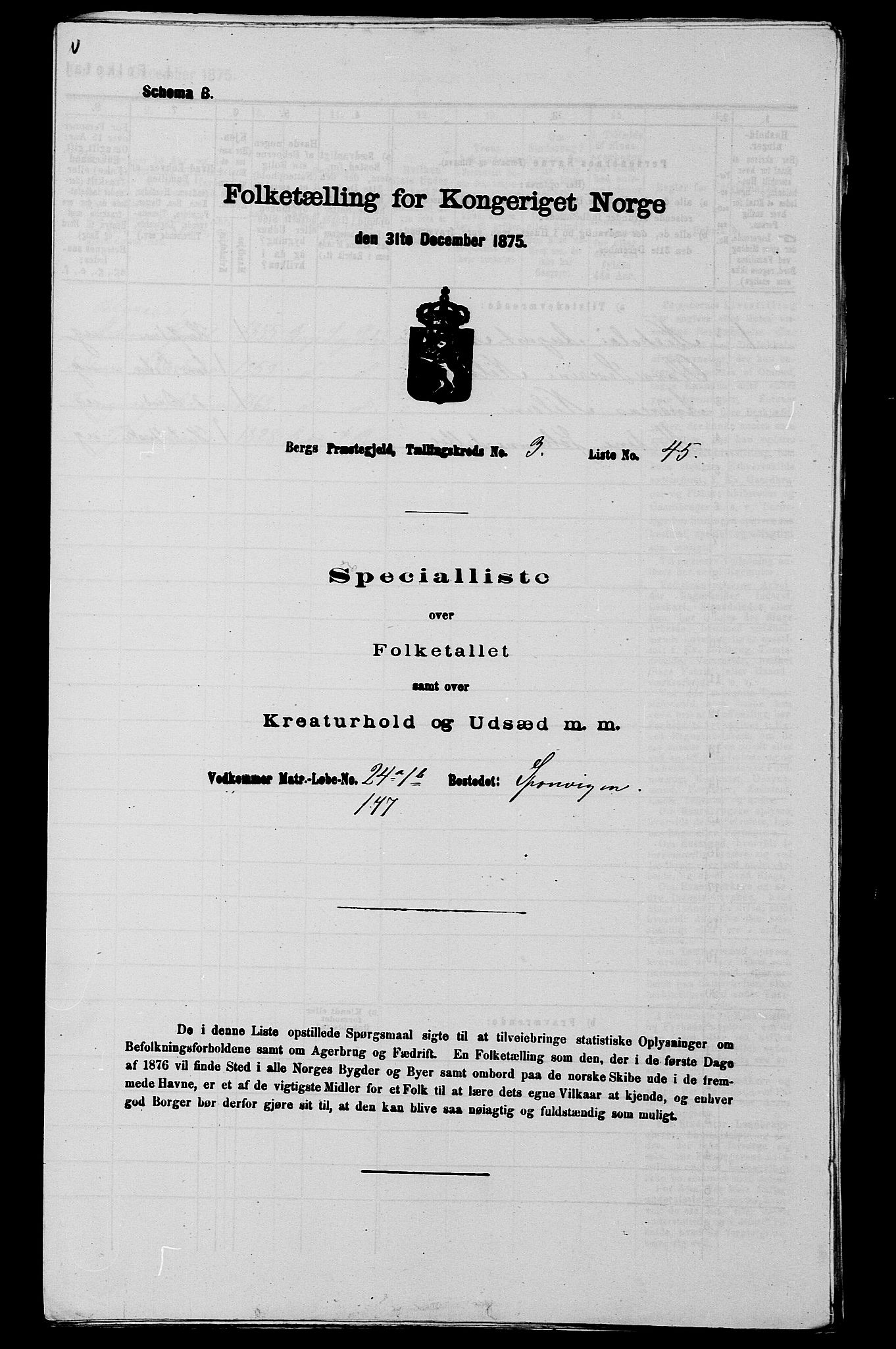 RA, Folketelling 1875 for 0116P Berg prestegjeld, 1875, s. 405