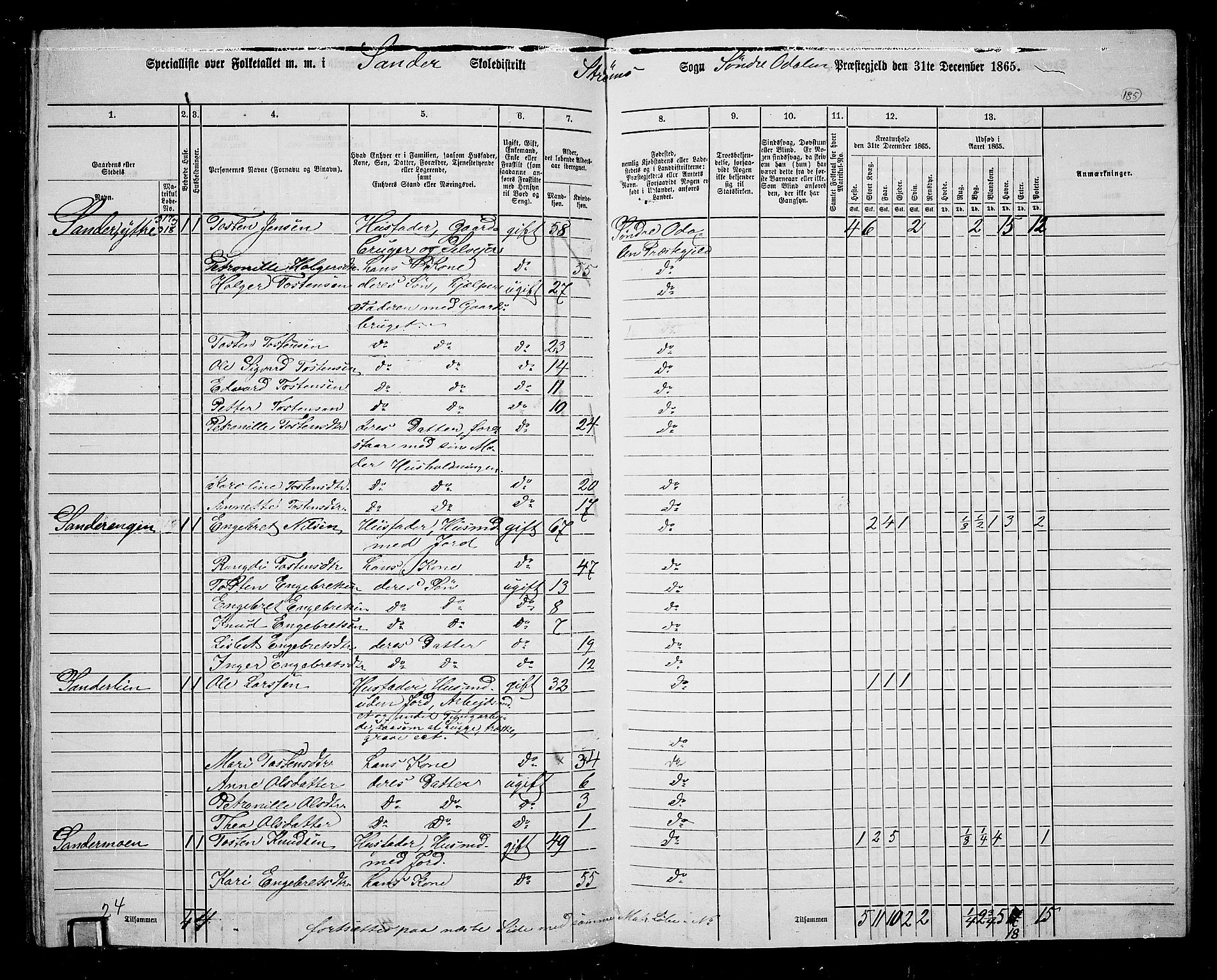 RA, Folketelling 1865 for 0419P Sør-Odal prestegjeld, 1865, s. 165