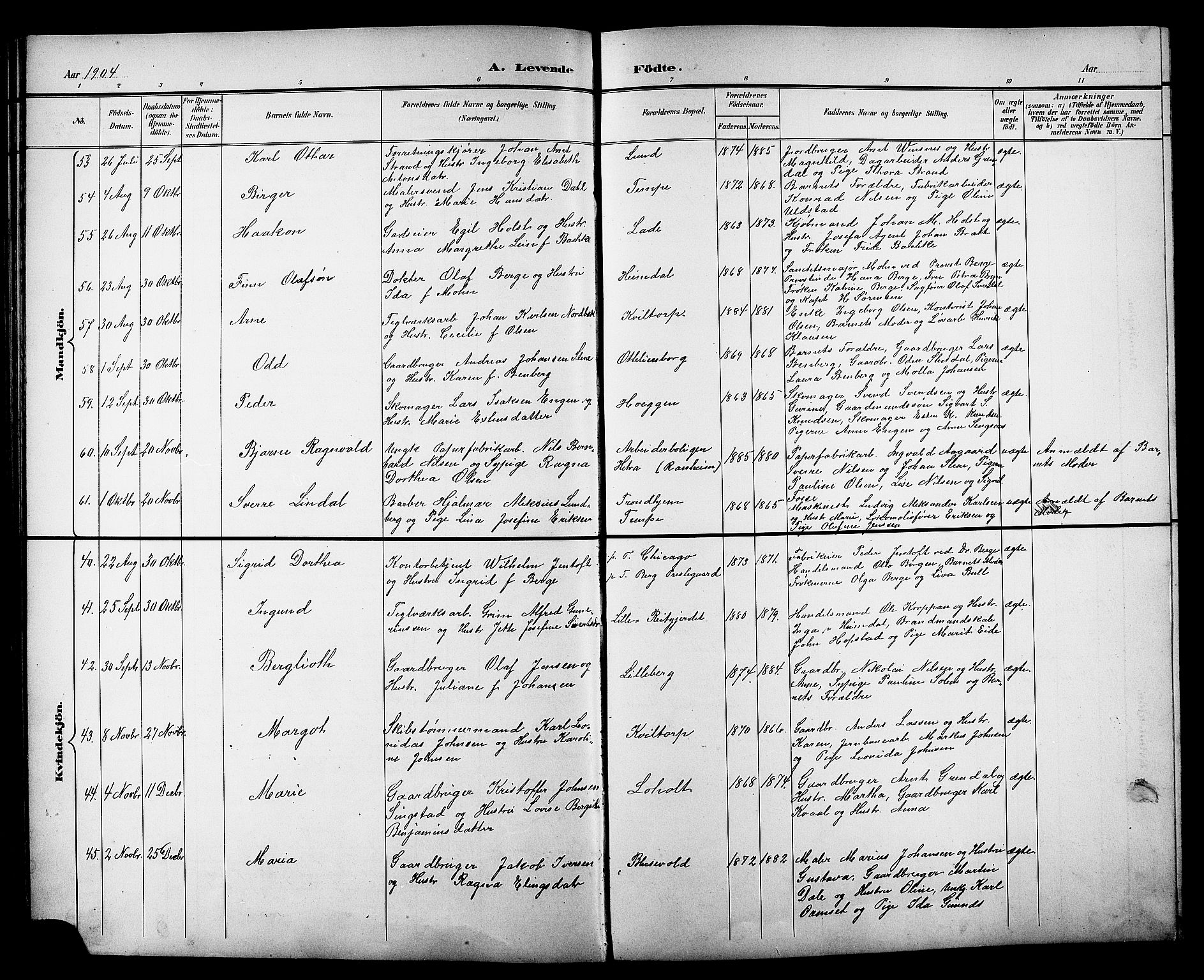 Ministerialprotokoller, klokkerbøker og fødselsregistre - Sør-Trøndelag, AV/SAT-A-1456/606/L0313: Klokkerbok nr. 606C09, 1895-1910