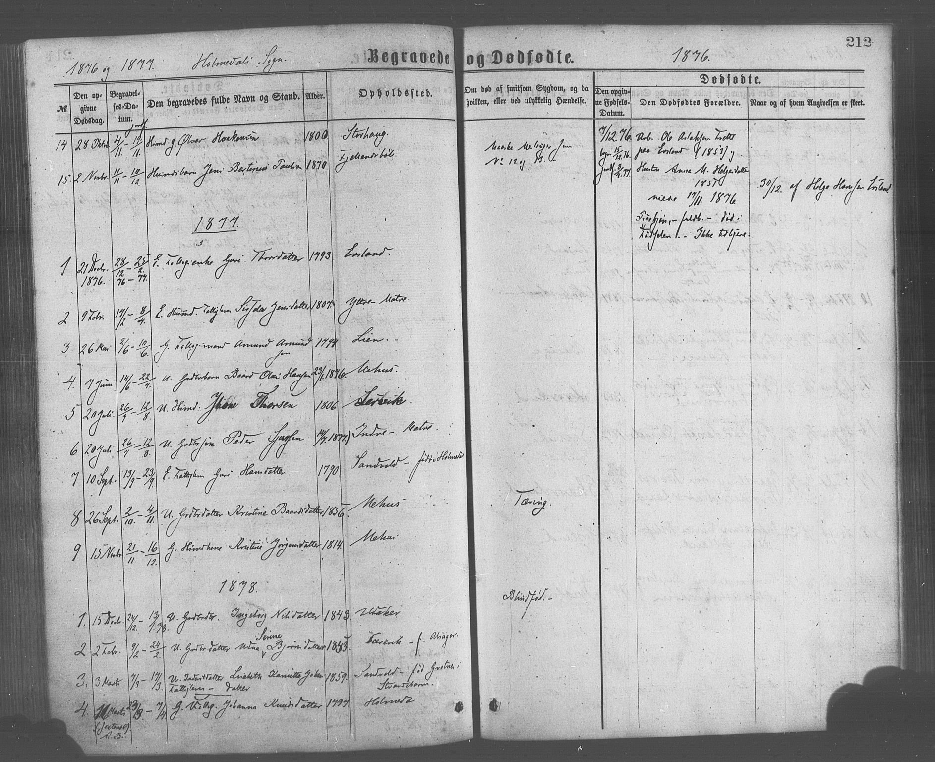 Skånevik sokneprestembete, AV/SAB-A-77801/H/Haa: Ministerialbok nr. A 6, 1869-1878, s. 212