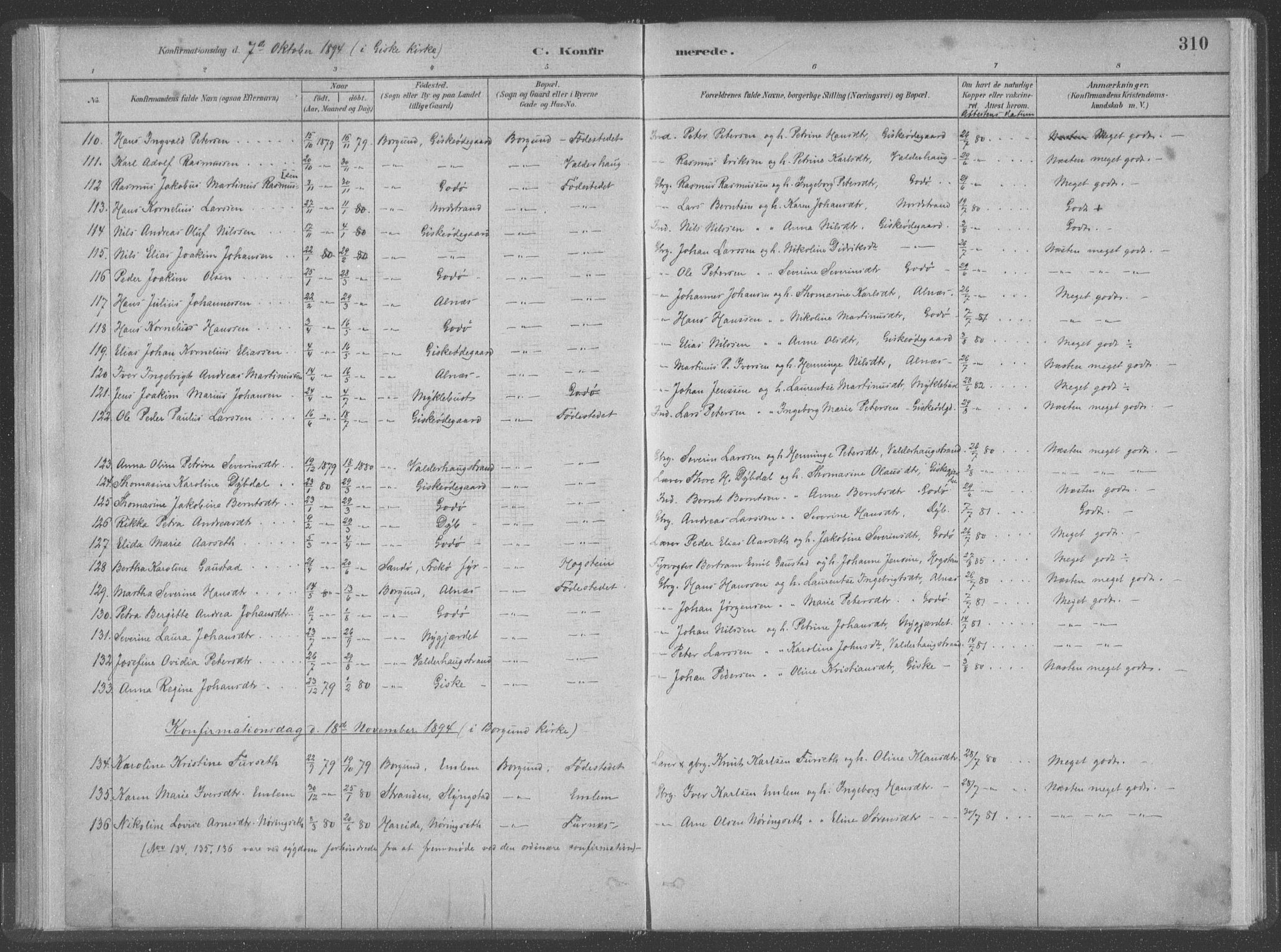 Ministerialprotokoller, klokkerbøker og fødselsregistre - Møre og Romsdal, SAT/A-1454/528/L0402: Ministerialbok nr. 528A12II, 1880-1903, s. 310
