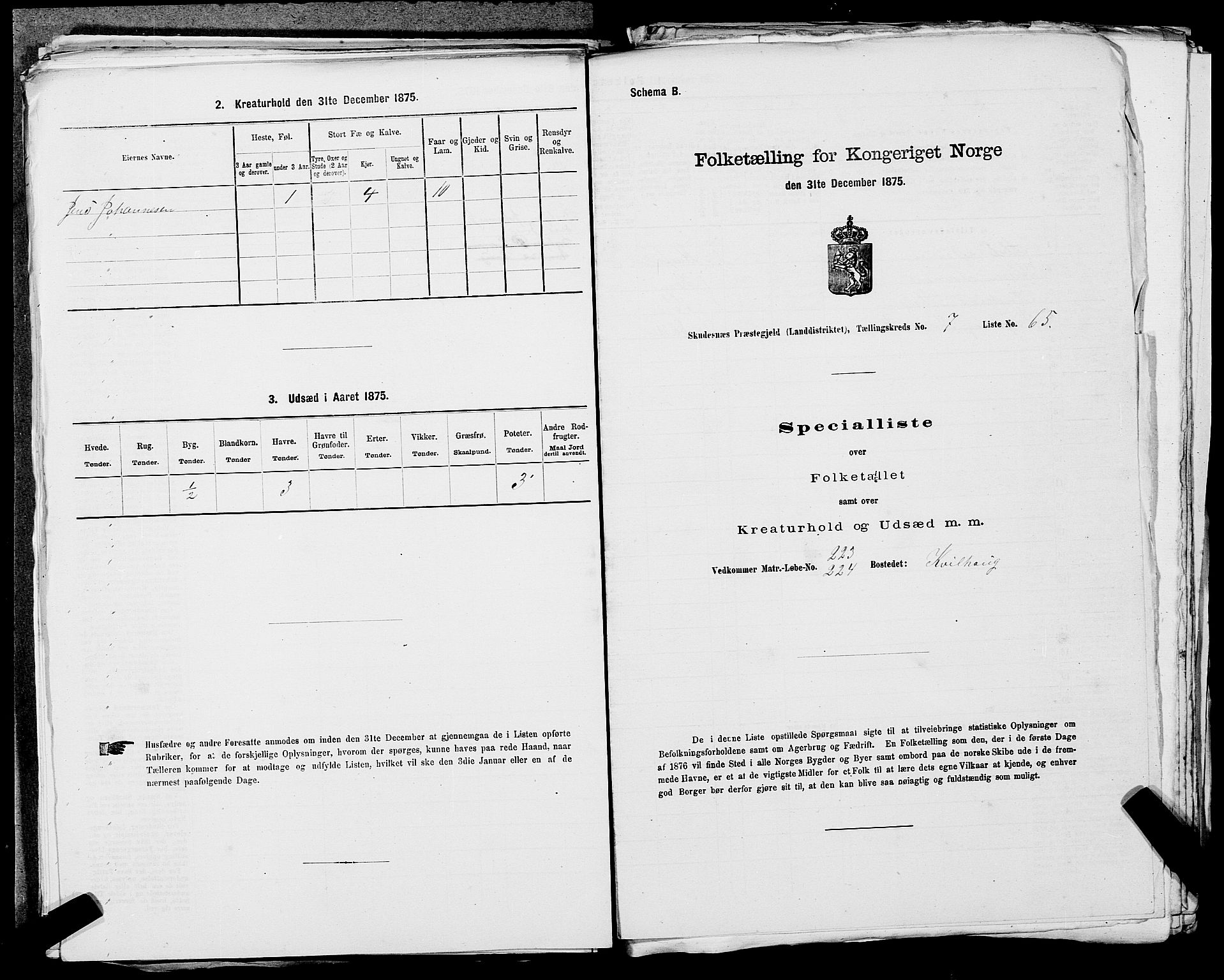 SAST, Folketelling 1875 for 1150L Skudenes prestegjeld, Falnes sokn, Åkra sokn og Ferkingstad sokn, 1875, s. 1047