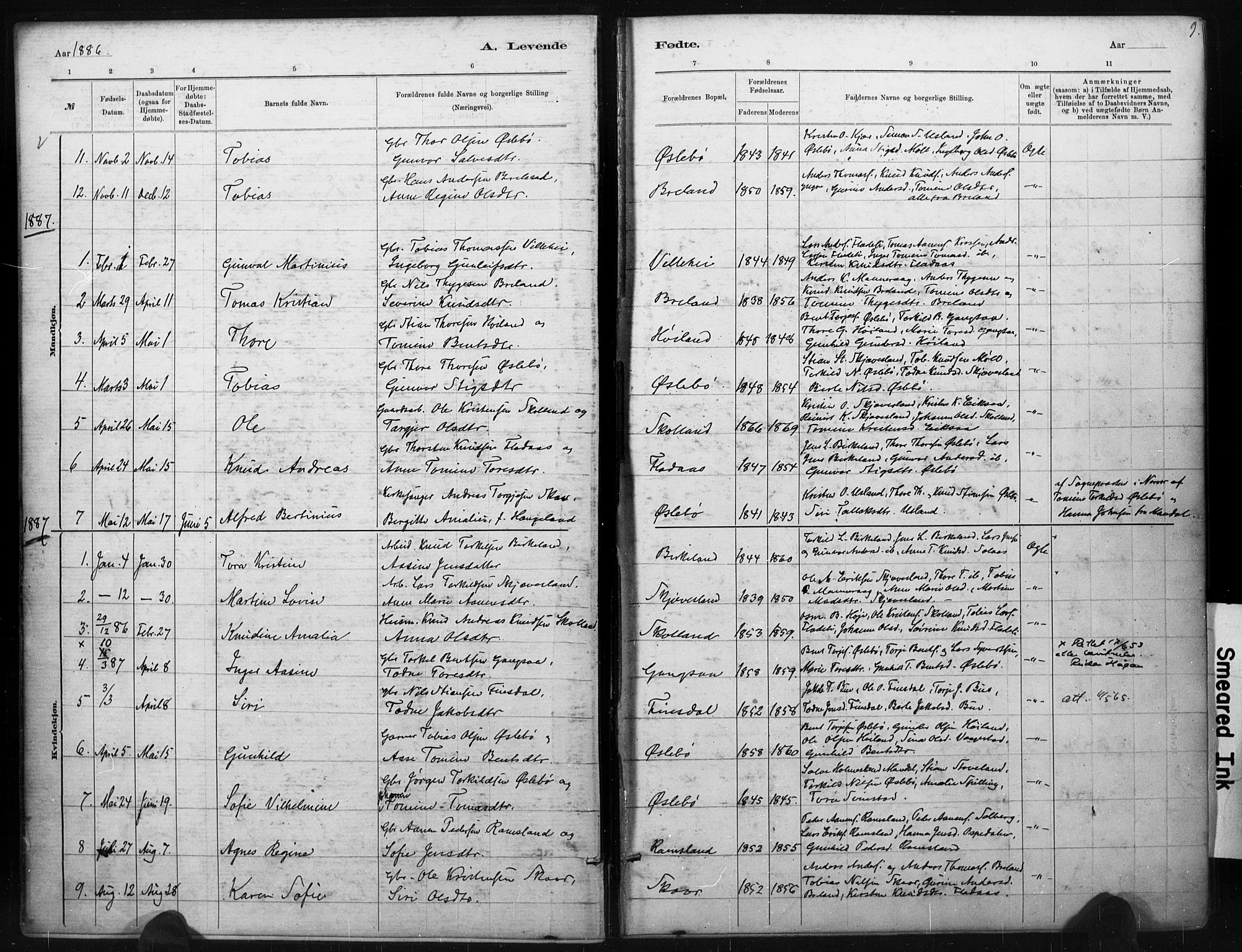Holum sokneprestkontor, AV/SAK-1111-0022/F/Fa/Fac/L0004: Ministerialbok nr. A 4, 1884-1907, s. 9
