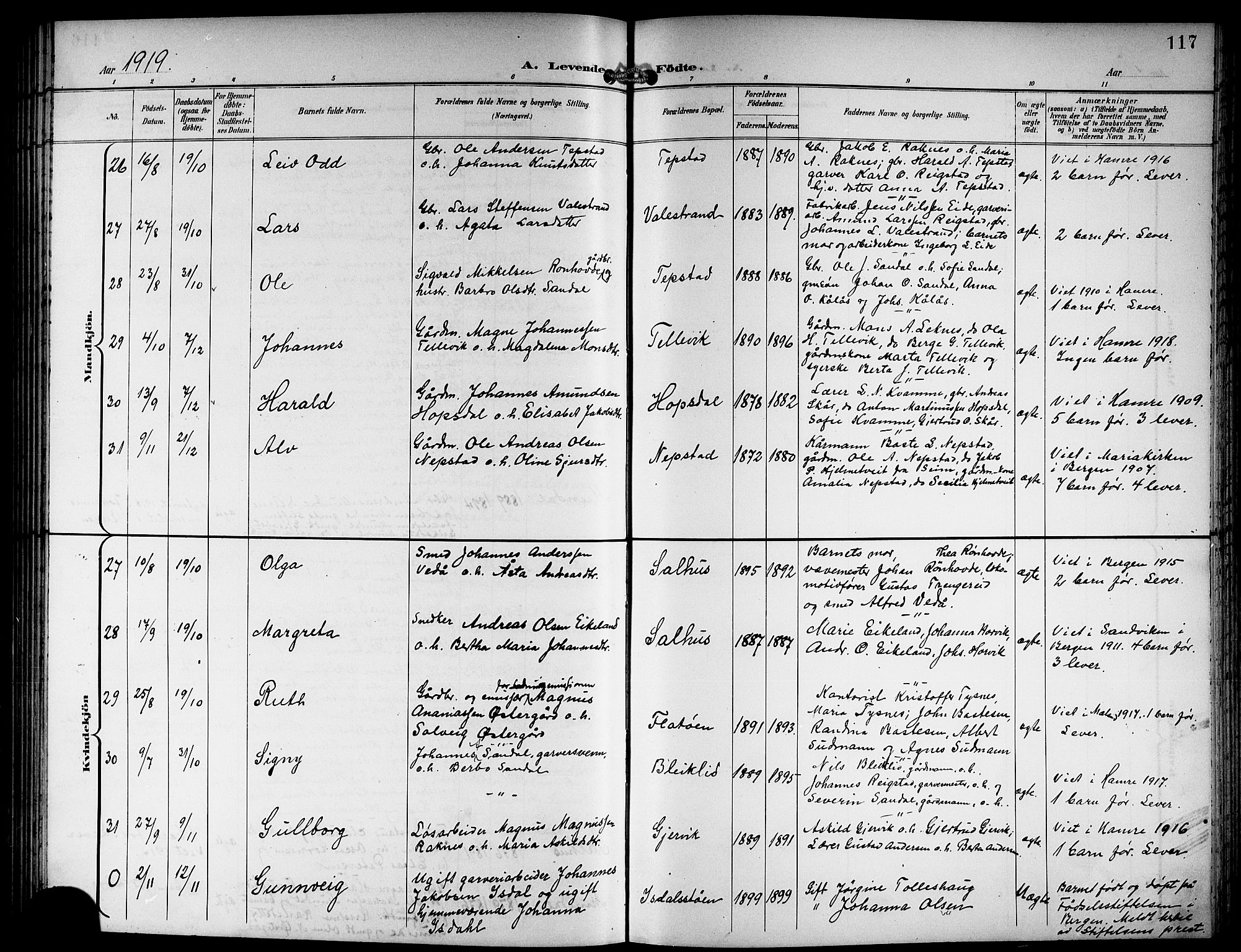 Hamre sokneprestembete, AV/SAB-A-75501/H/Ha/Hab: Klokkerbok nr. B 4, 1898-1919, s. 117