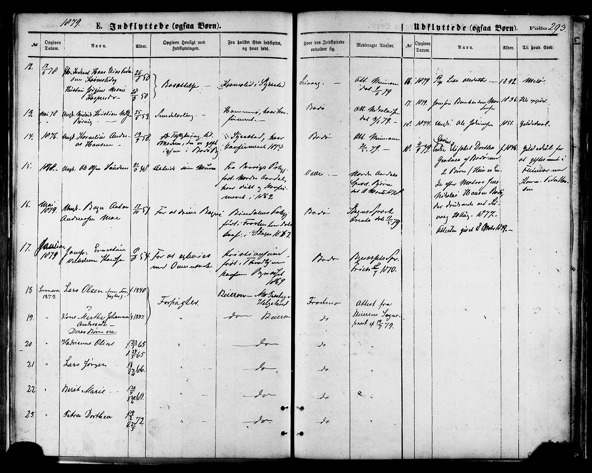 Ministerialprotokoller, klokkerbøker og fødselsregistre - Nordland, AV/SAT-A-1459/801/L0009: Ministerialbok nr. 801A09, 1876-1883, s. 293