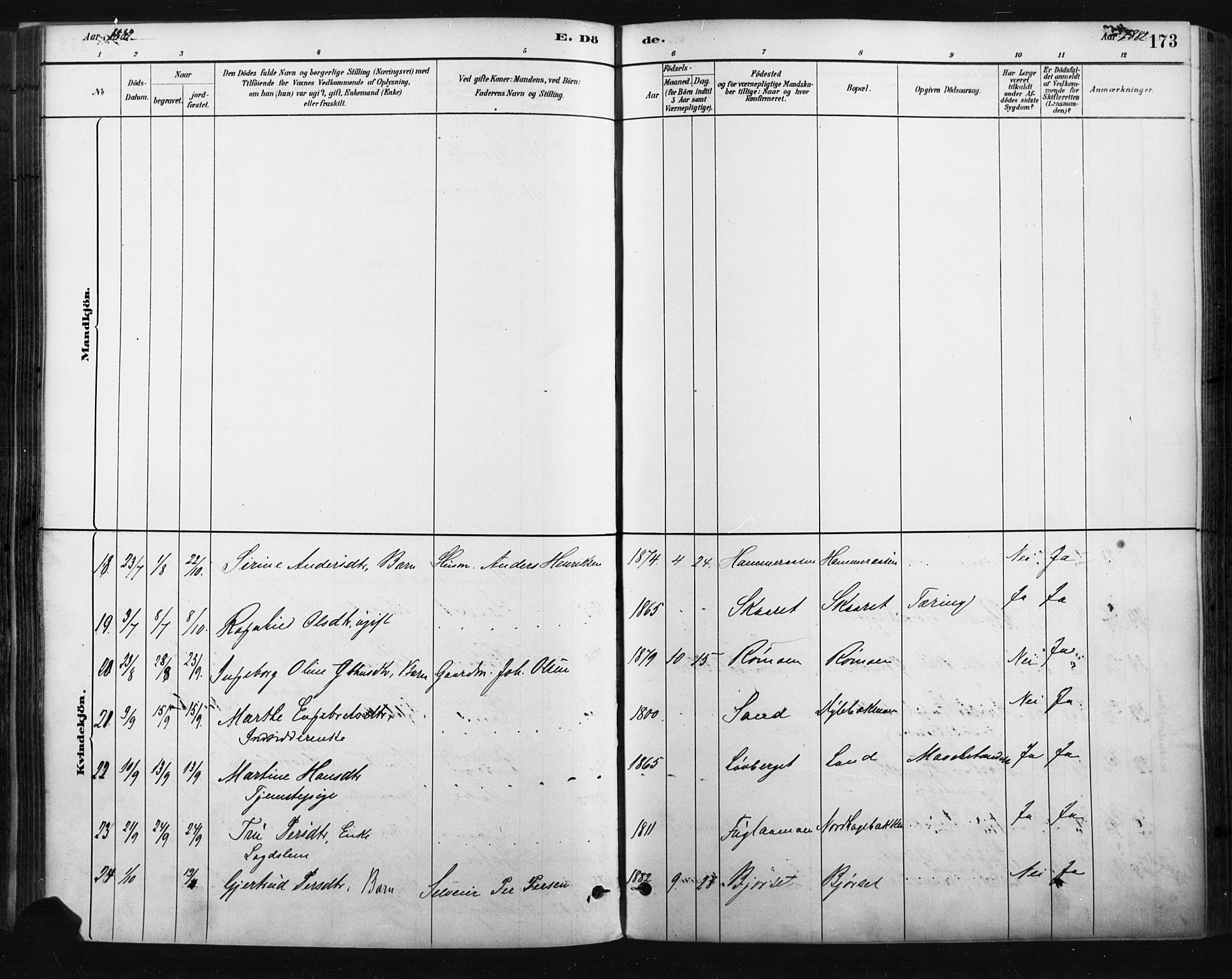 Trysil prestekontor, AV/SAH-PREST-046/H/Ha/Haa/L0009: Ministerialbok nr. 9, 1881-1897, s. 173