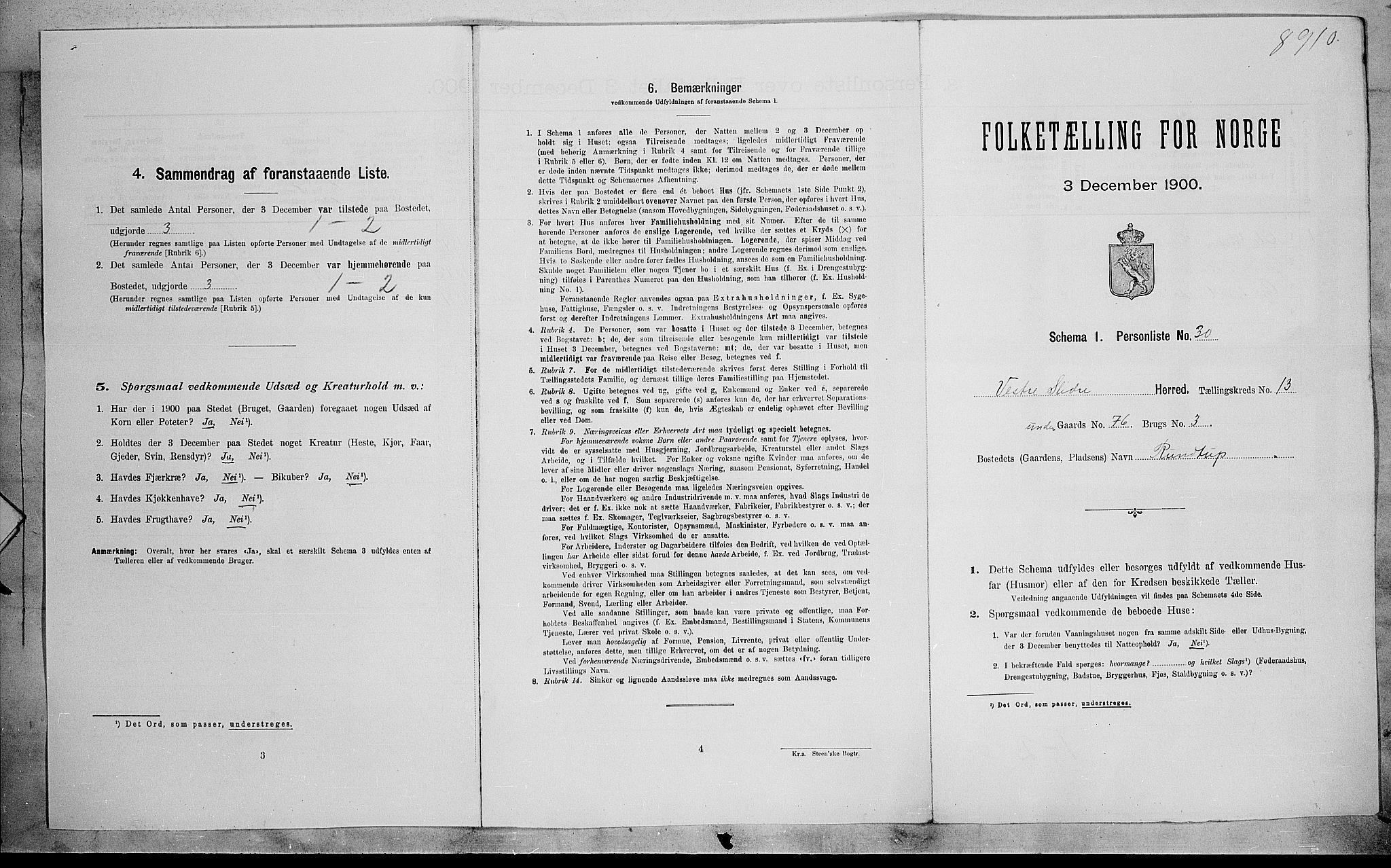 SAH, Folketelling 1900 for 0543 Vestre Slidre herred, 1900, s. 850