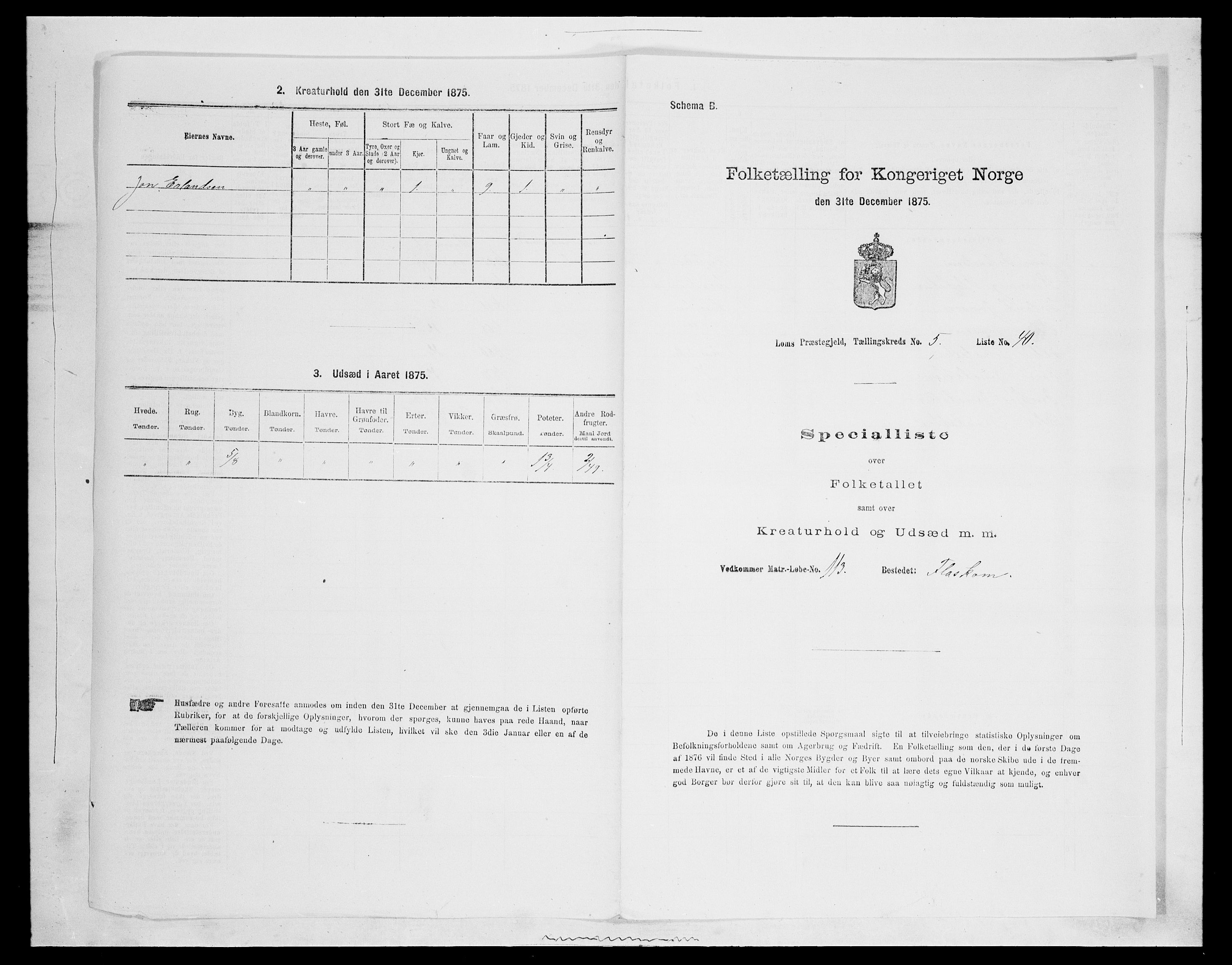 SAH, Folketelling 1875 for 0514P Lom prestegjeld, 1875, s. 821