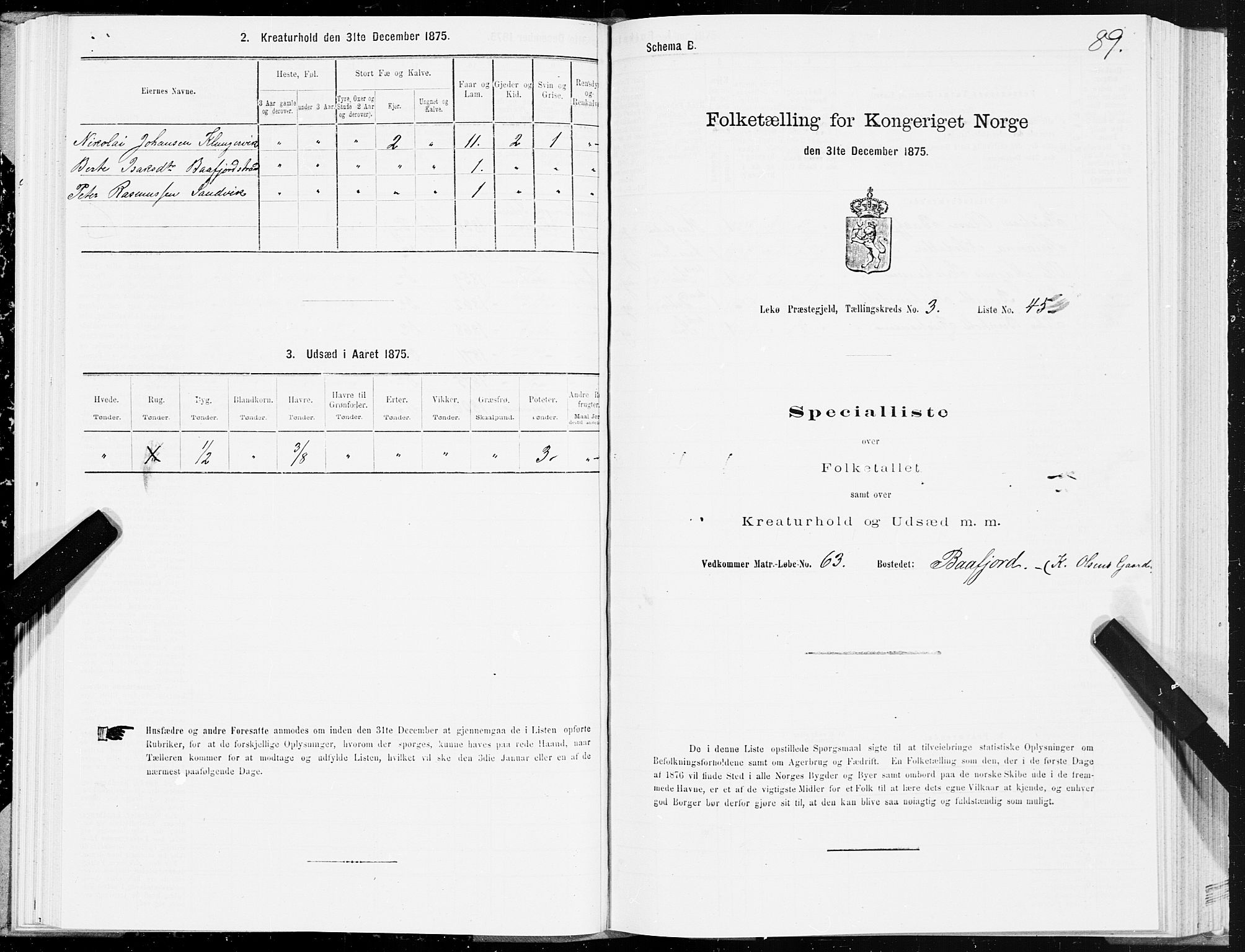 SAT, Folketelling 1875 for 1755P Leka prestegjeld, 1875, s. 2089