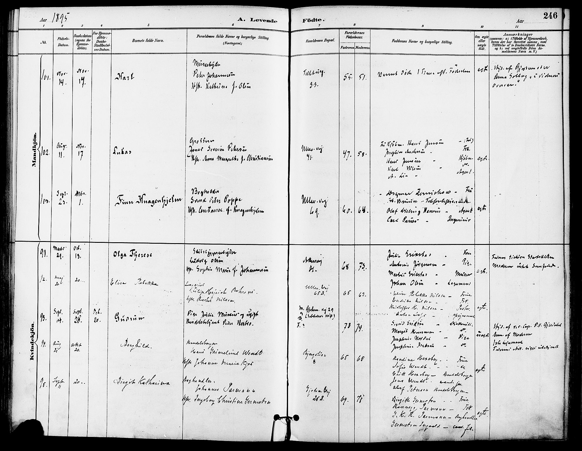 Gamle Aker prestekontor Kirkebøker, AV/SAO-A-10617a/F/L0008: Ministerialbok nr. 8, 1887-1896, s. 246