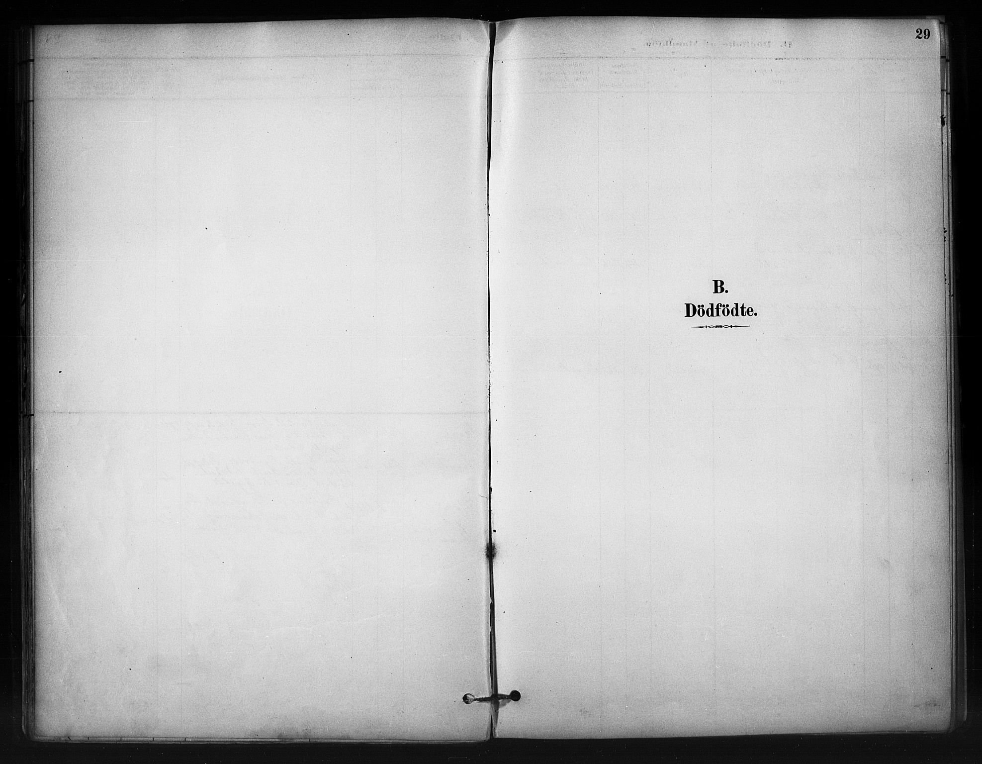 Nord-Aurdal prestekontor, AV/SAH-PREST-132/H/Ha/Haa/L0012: Ministerialbok nr. 12, 1883-1895, s. 29