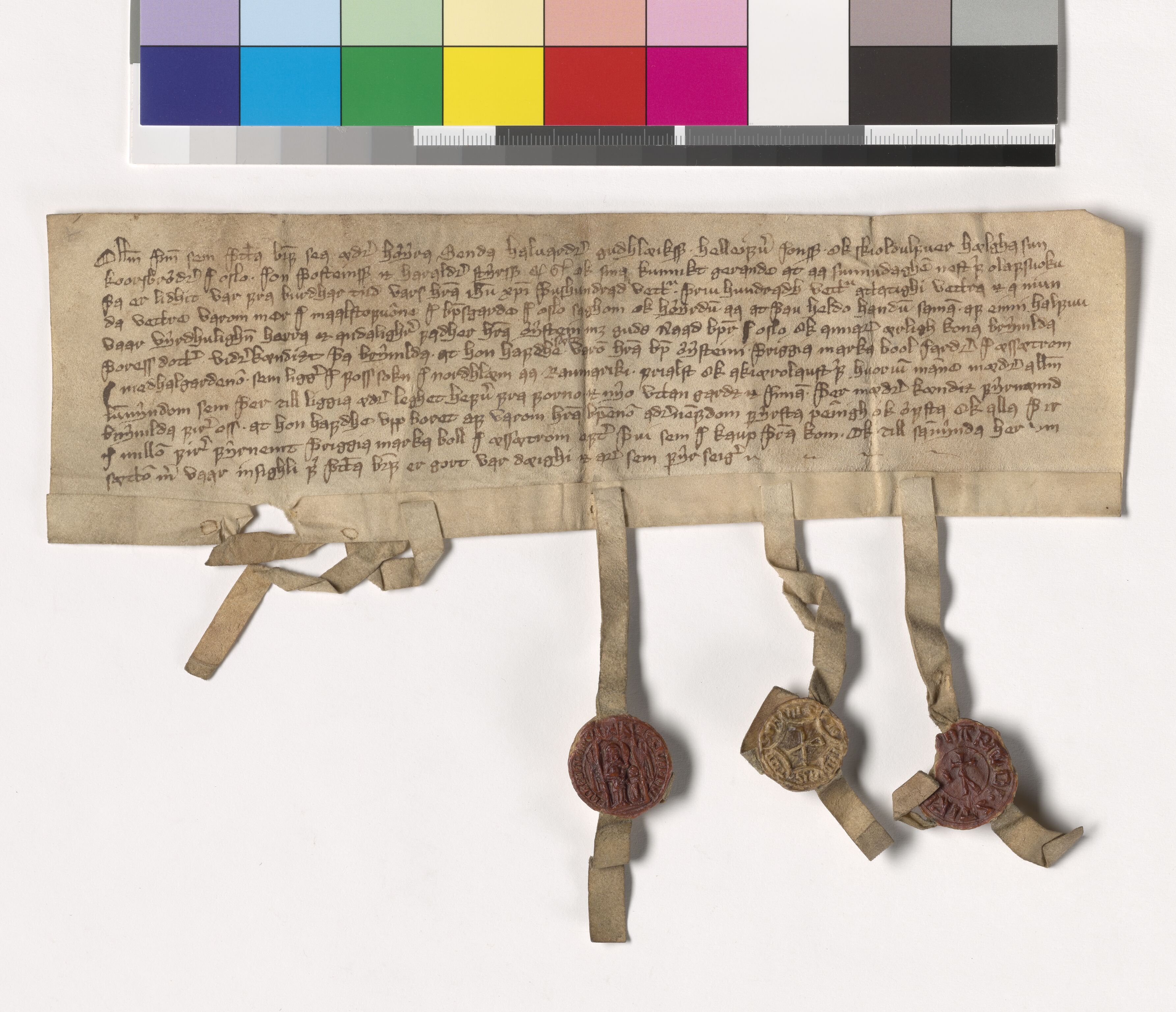 Riksarkivets diplomsamling, AV/RA-EA-5965/F05/L0188: NRA AM fasc. 76 nr. 13-16, 1389, s. 8