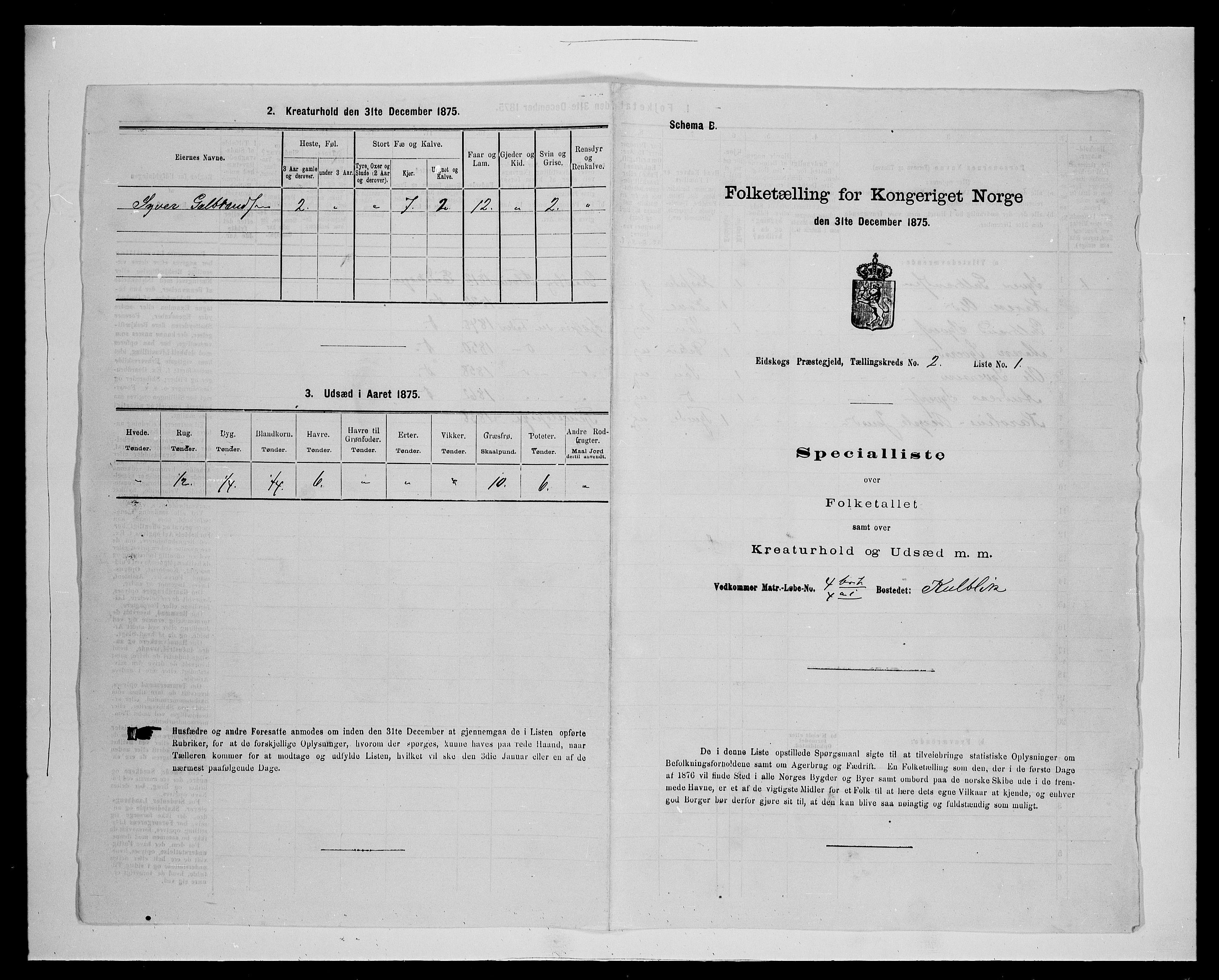 SAH, Folketelling 1875 for 0420P Eidskog prestegjeld, 1875, s. 263