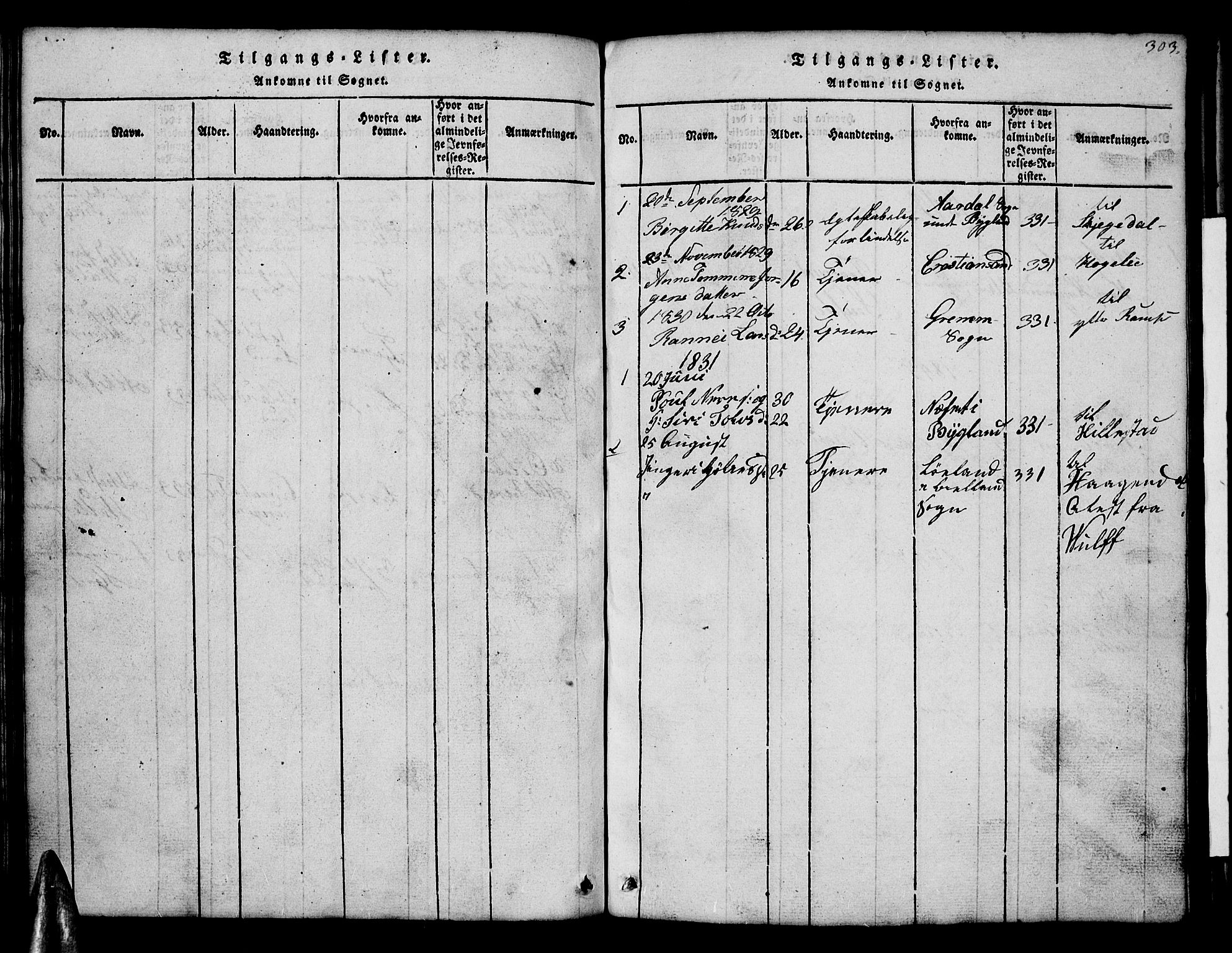 Åmli sokneprestkontor, SAK/1111-0050/F/Fb/Fbb/L0001: Klokkerbok nr. B 1, 1816-1889, s. 303
