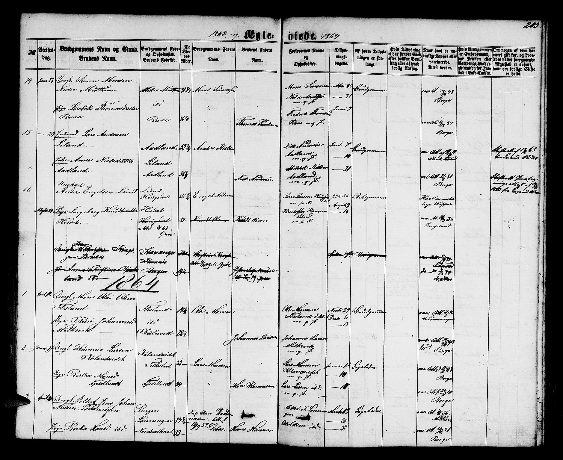 Fana Sokneprestembete, AV/SAB-A-75101/H/Hab/Habb/L0003: Klokkerbok nr. B 3, 1861-1888, s. 205