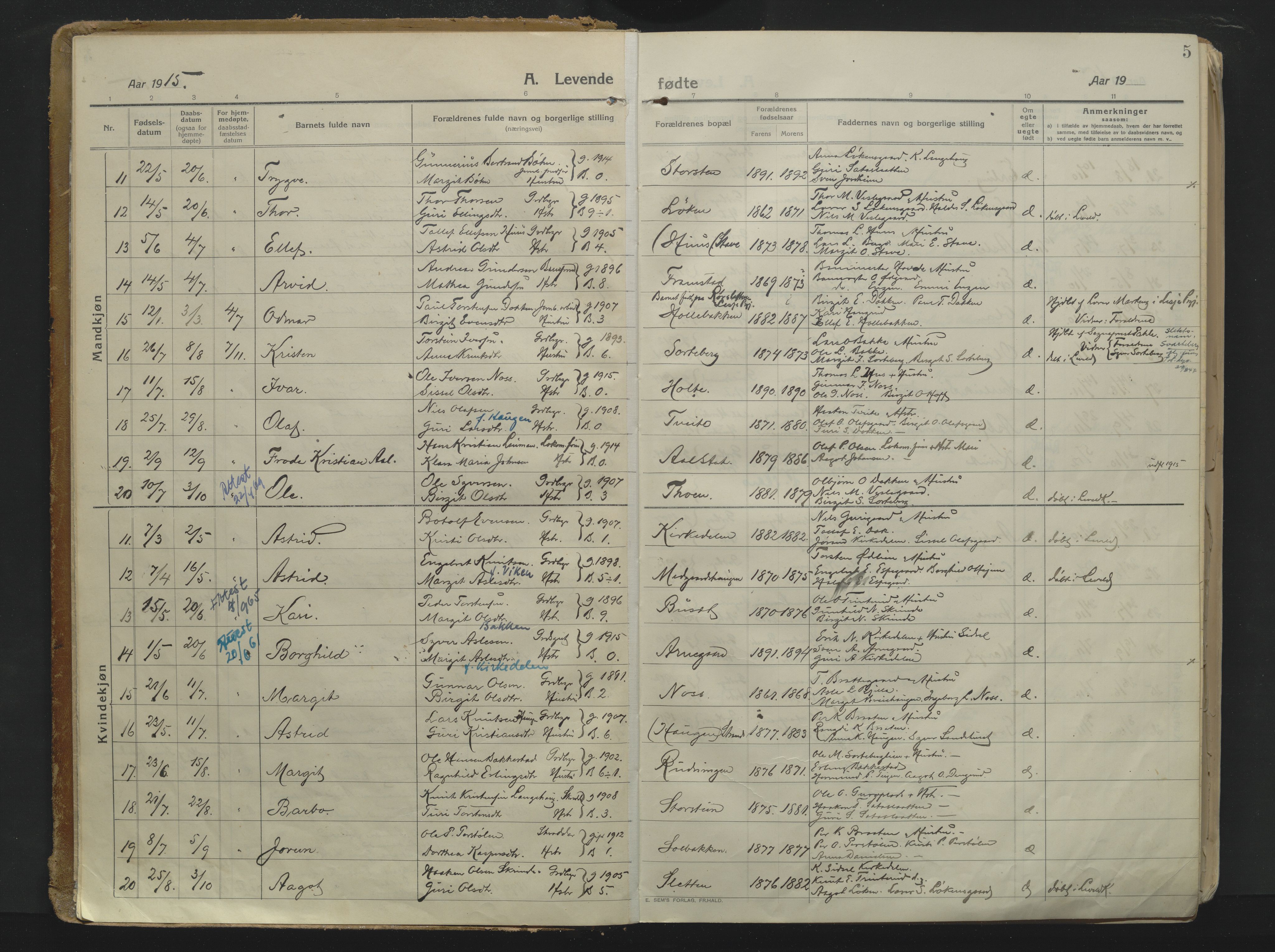 Ål kirkebøker, AV/SAKO-A-249/F/Fa/L0010: Ministerialbok nr. I 10, 1915-1934, s. 5