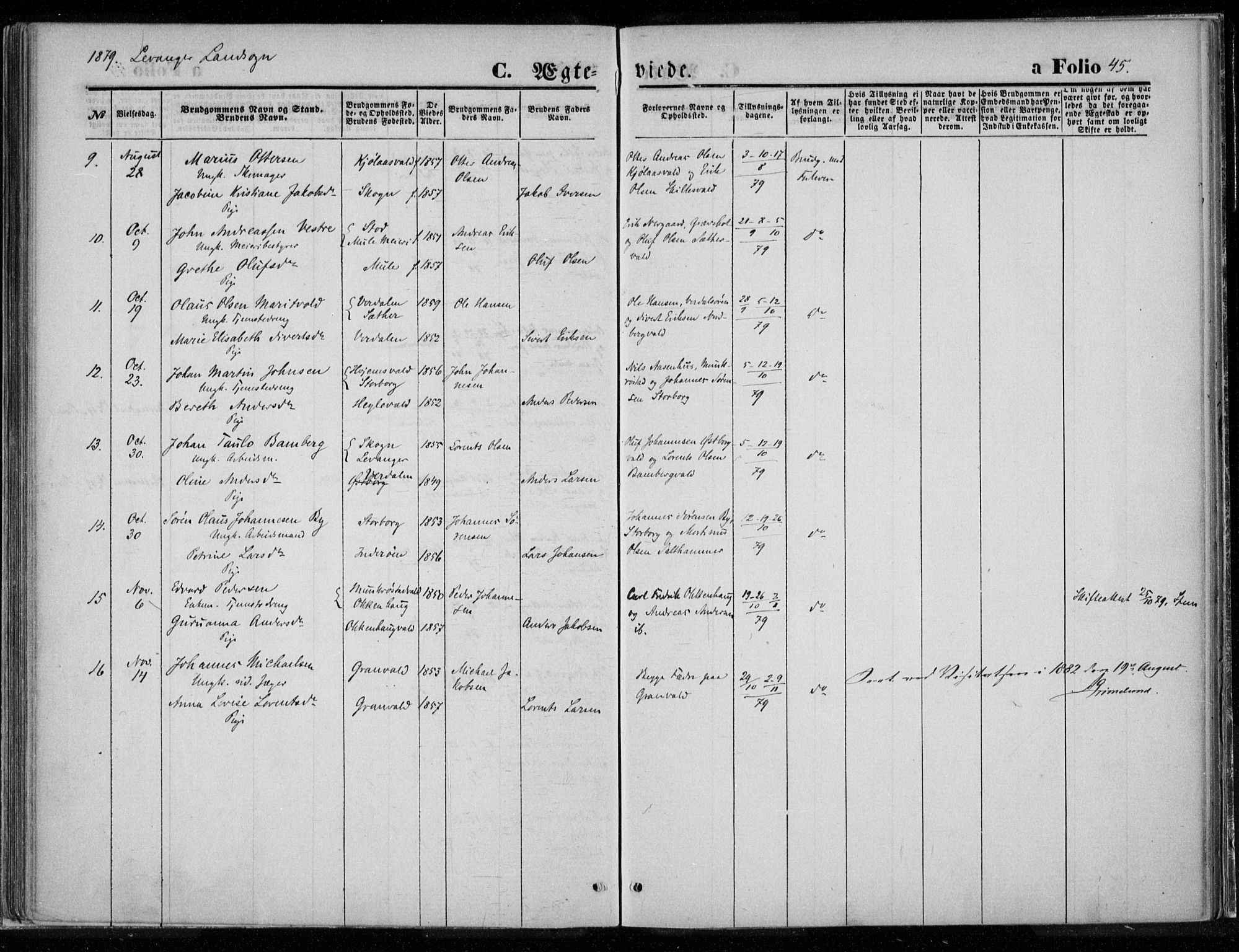 Ministerialprotokoller, klokkerbøker og fødselsregistre - Nord-Trøndelag, AV/SAT-A-1458/720/L0187: Ministerialbok nr. 720A04 /2, 1875-1879, s. 45
