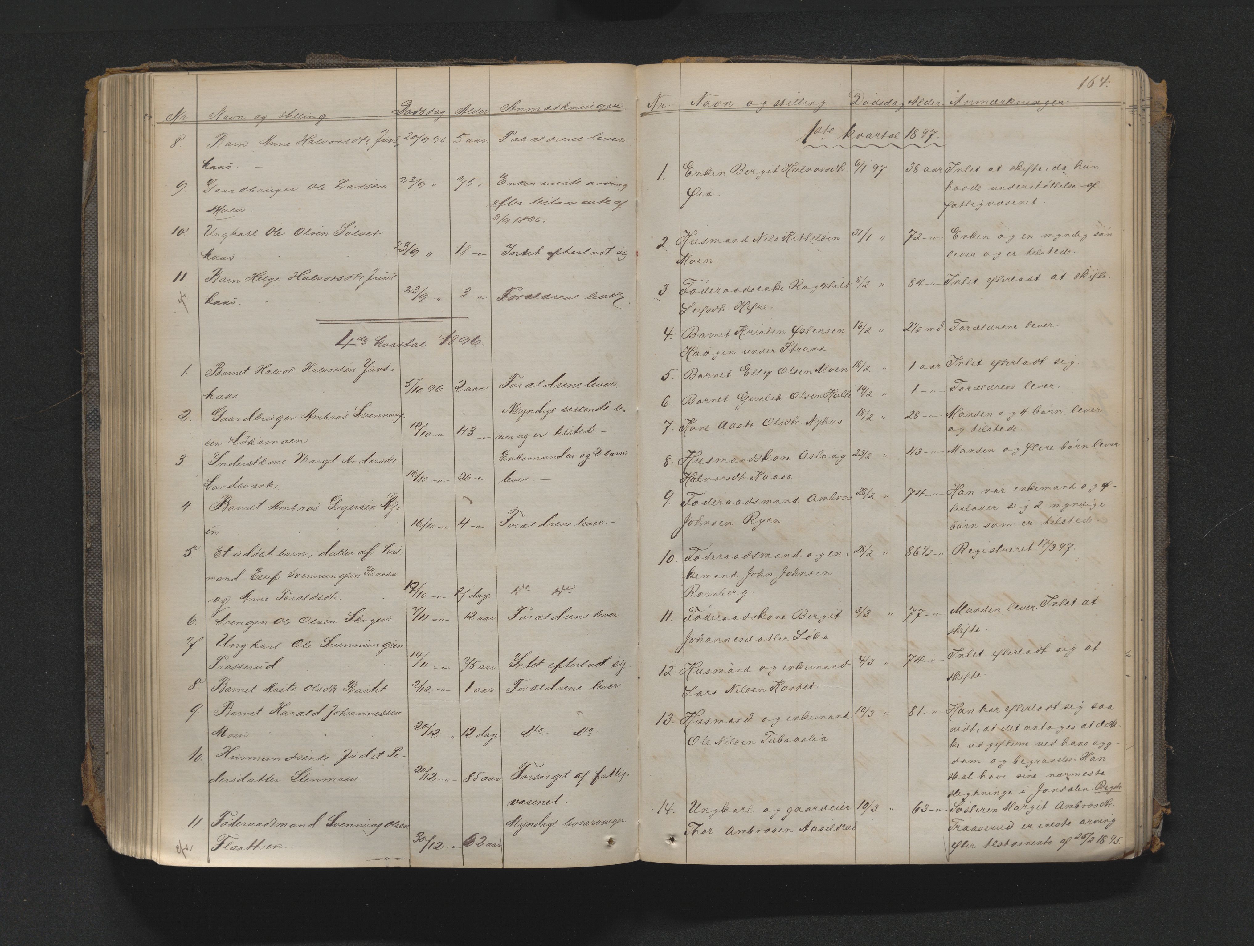 Nedre Telemark sorenskriveri, AV/SAKO-A-135/H/Ha/Haa/L0001: Dødsanmeldeldelsesprotokoll, 1867-1901, s. 163b-164a