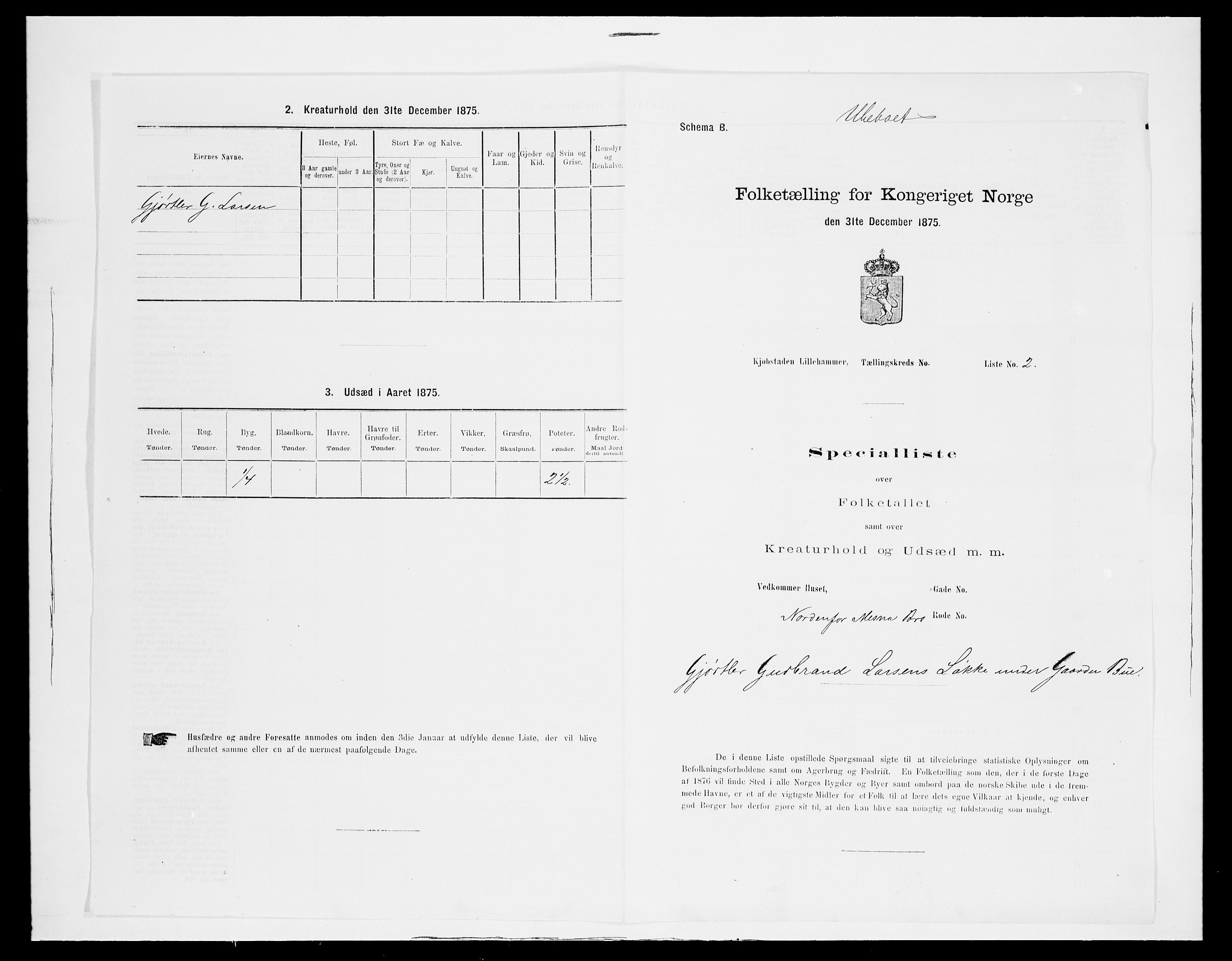 SAH, Folketelling 1875 for 0501B Fåberg prestegjeld, Lillehammer kjøpstad, 1875, s. 6