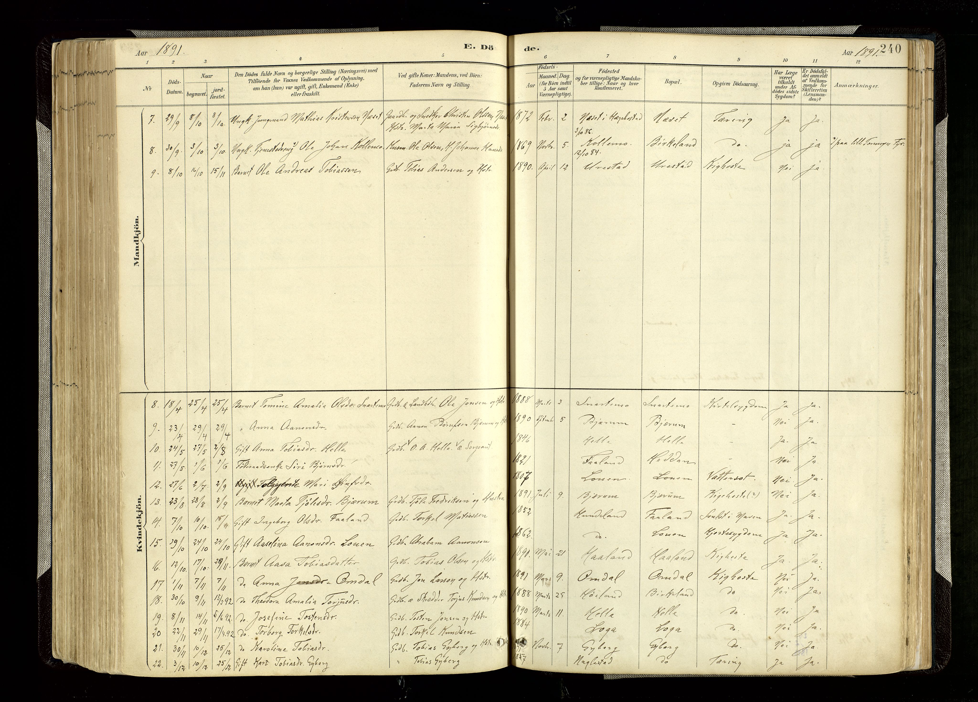 Hægebostad sokneprestkontor, AV/SAK-1111-0024/F/Fa/Faa/L0006: Ministerialbok nr. A 6, 1887-1929, s. 240