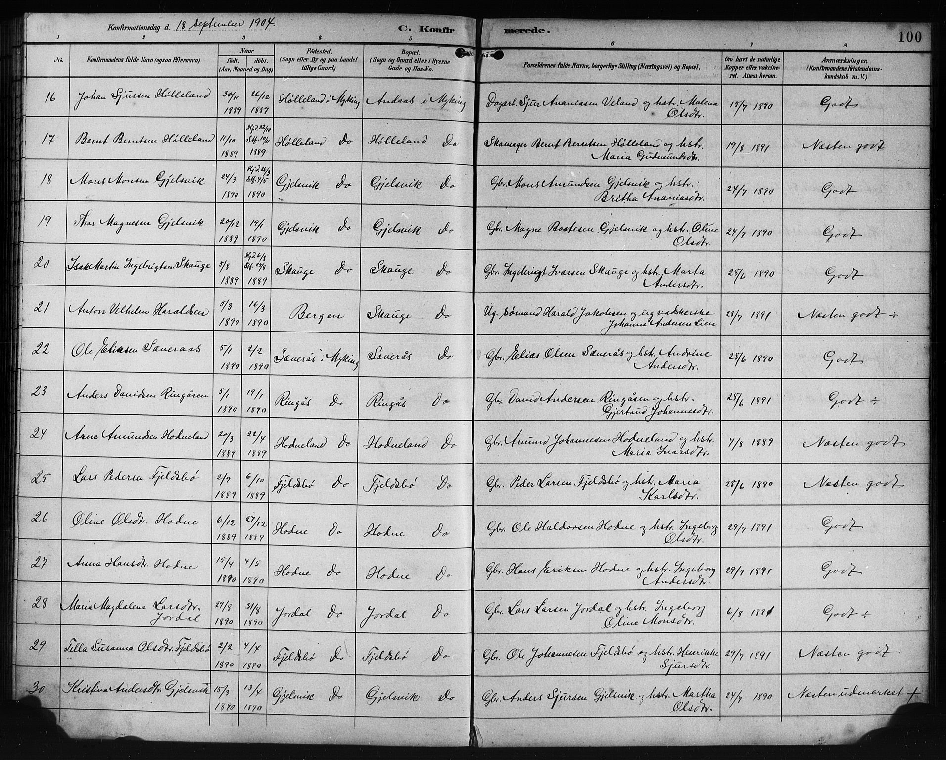 Lindås Sokneprestembete, AV/SAB-A-76701/H/Hab/Habe/L0003: Klokkerbok nr. E 3, 1892-1905, s. 100