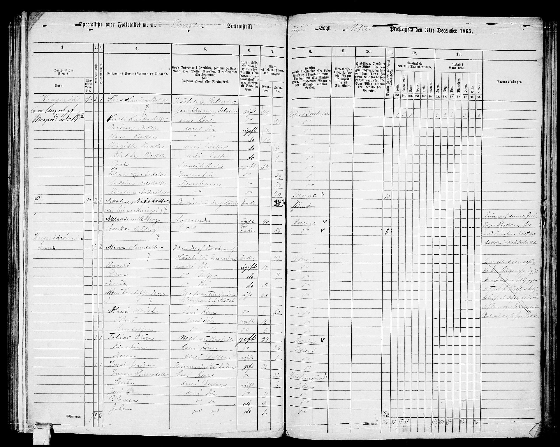 RA, Folketelling 1865 for 0722P Nøtterøy prestegjeld, 1865, s. 206