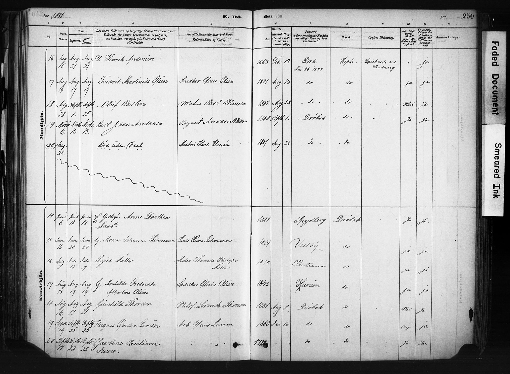 Drøbak prestekontor Kirkebøker, AV/SAO-A-10142a/F/Fb/L0001: Ministerialbok nr. II 1, 1878-1891, s. 250