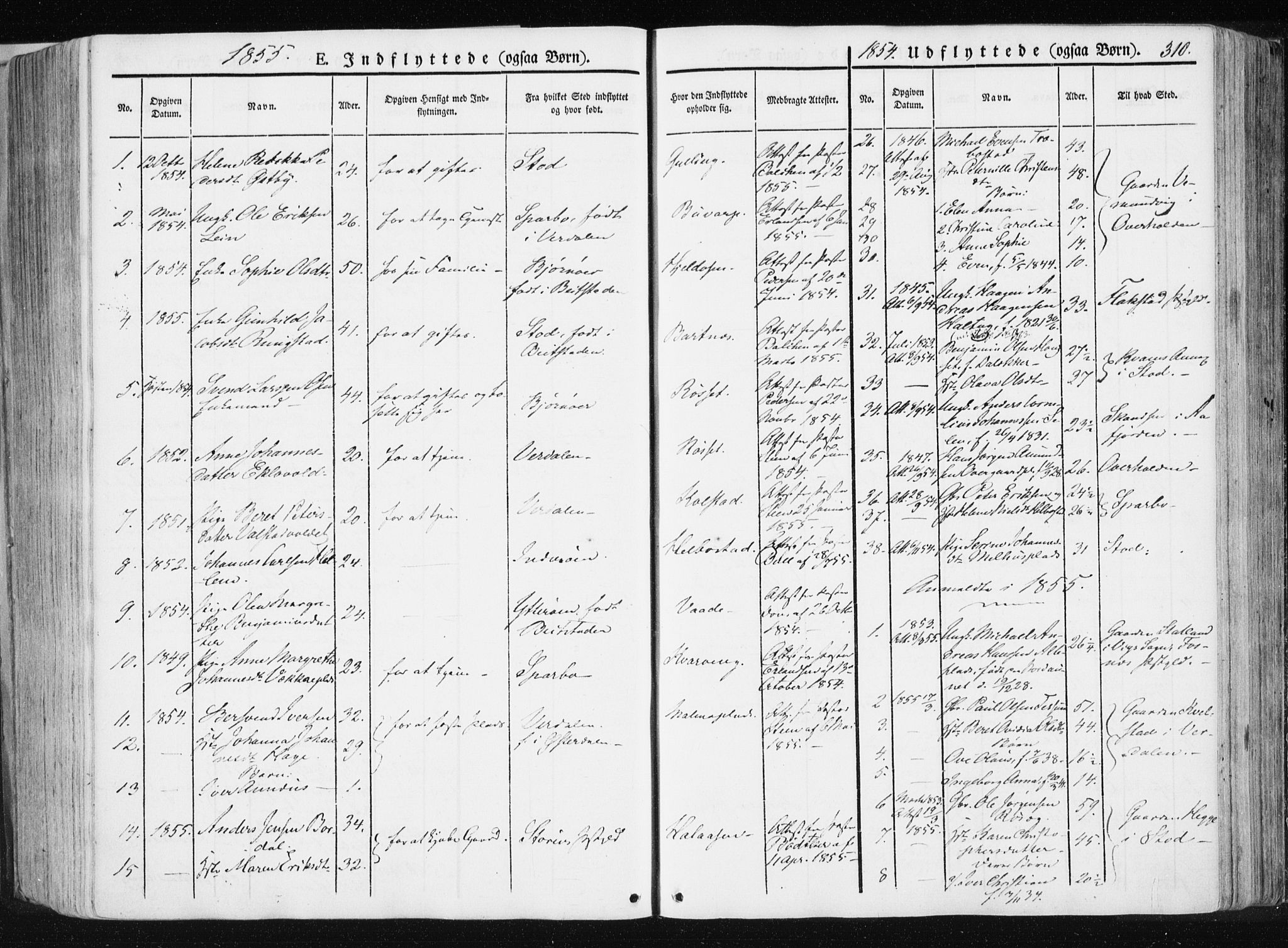 Ministerialprotokoller, klokkerbøker og fødselsregistre - Nord-Trøndelag, SAT/A-1458/741/L0393: Ministerialbok nr. 741A07, 1849-1863, s. 310