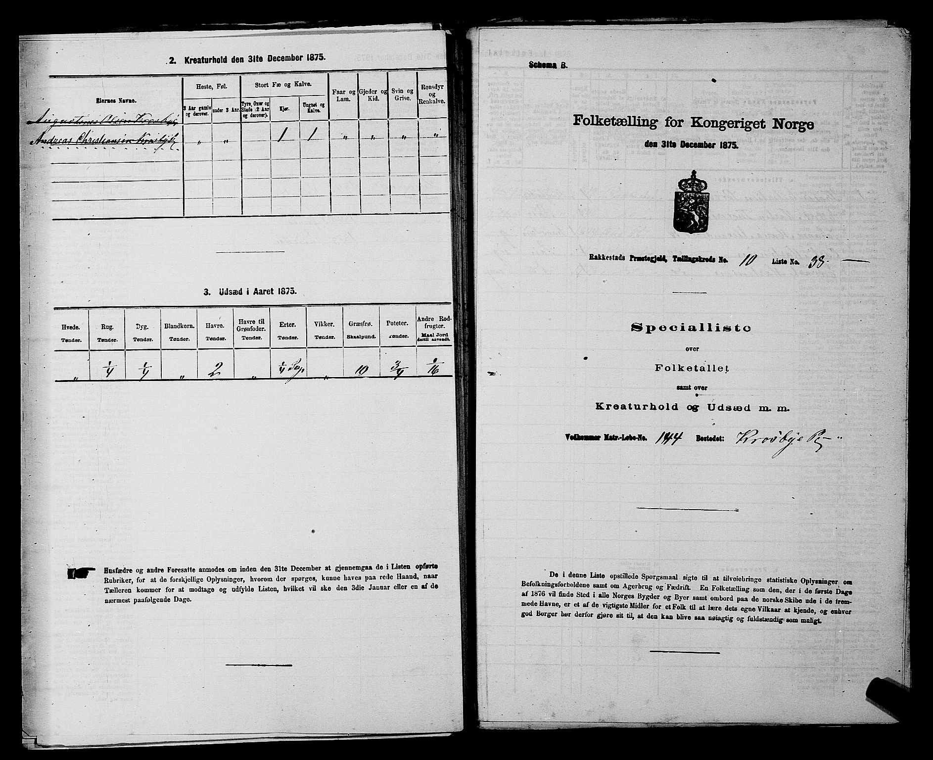 RA, Folketelling 1875 for 0128P Rakkestad prestegjeld, 1875, s. 1238