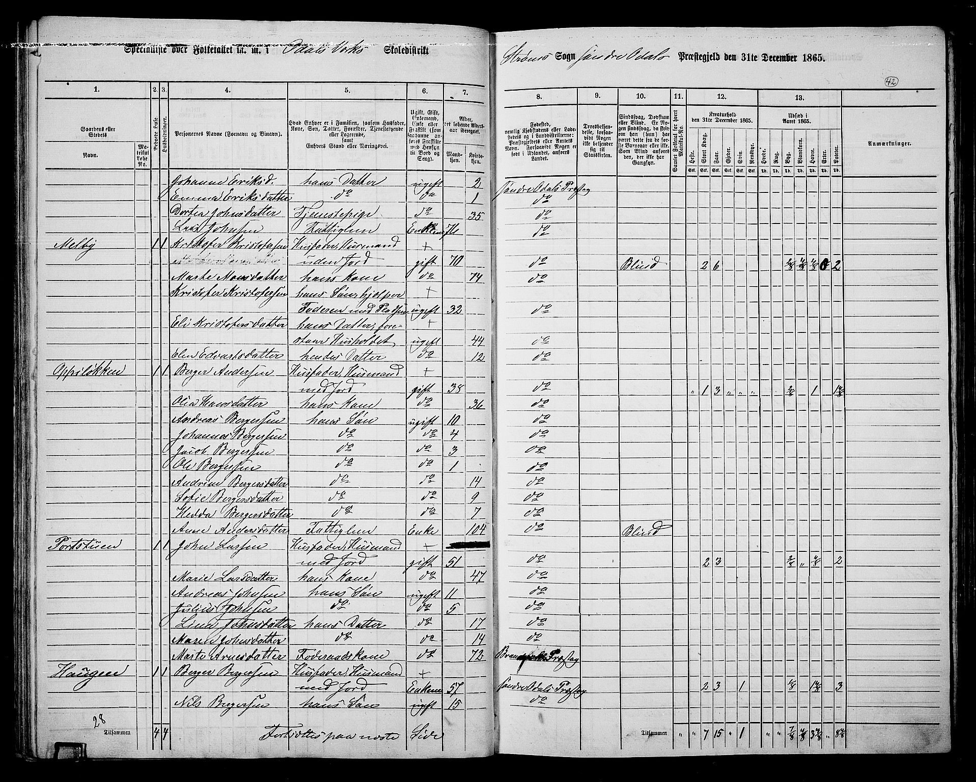 RA, Folketelling 1865 for 0419P Sør-Odal prestegjeld, 1865, s. 38