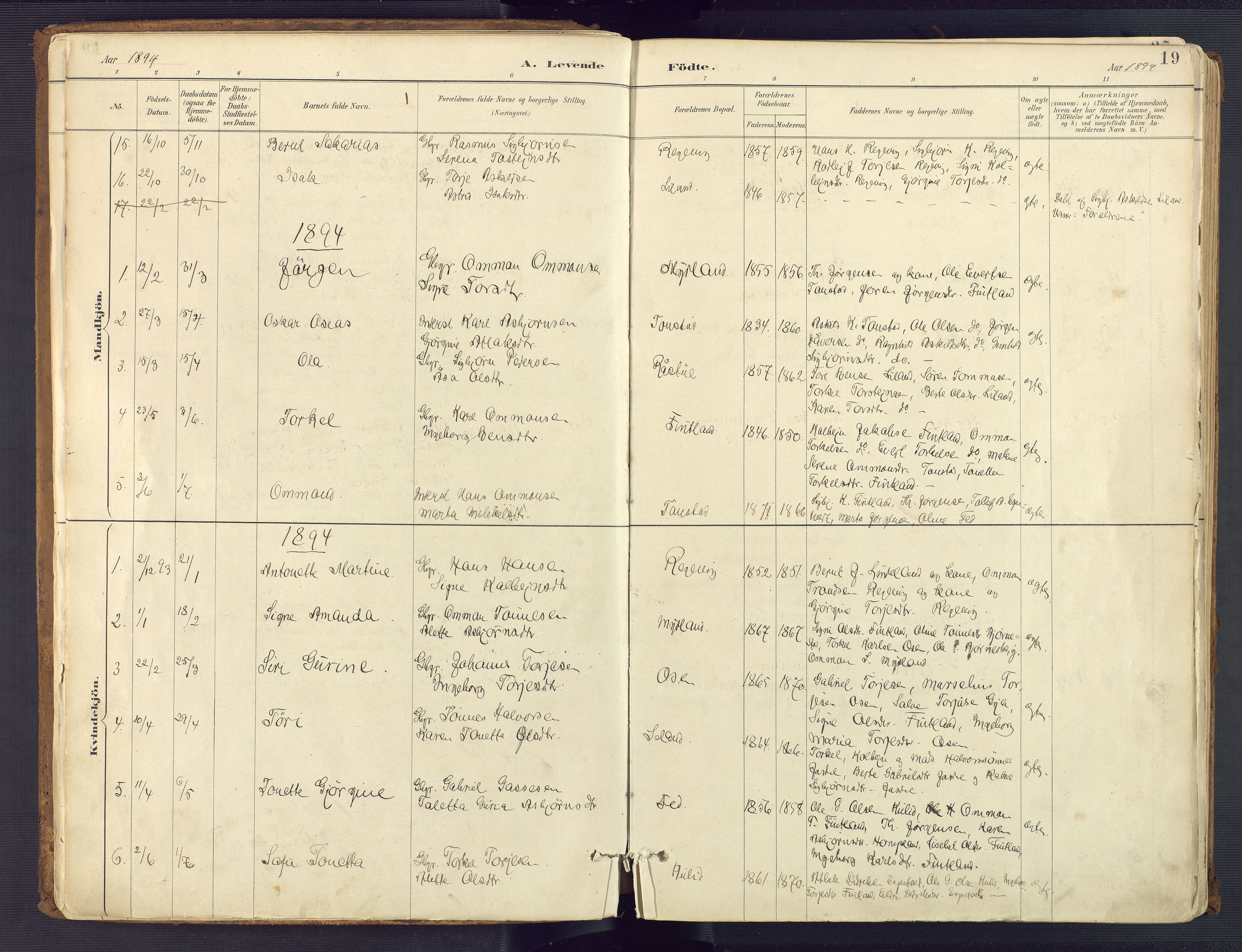 Sirdal sokneprestkontor, AV/SAK-1111-0036/F/Fa/Fab/L0004: Ministerialbok nr. A 4, 1887-1919, s. 19