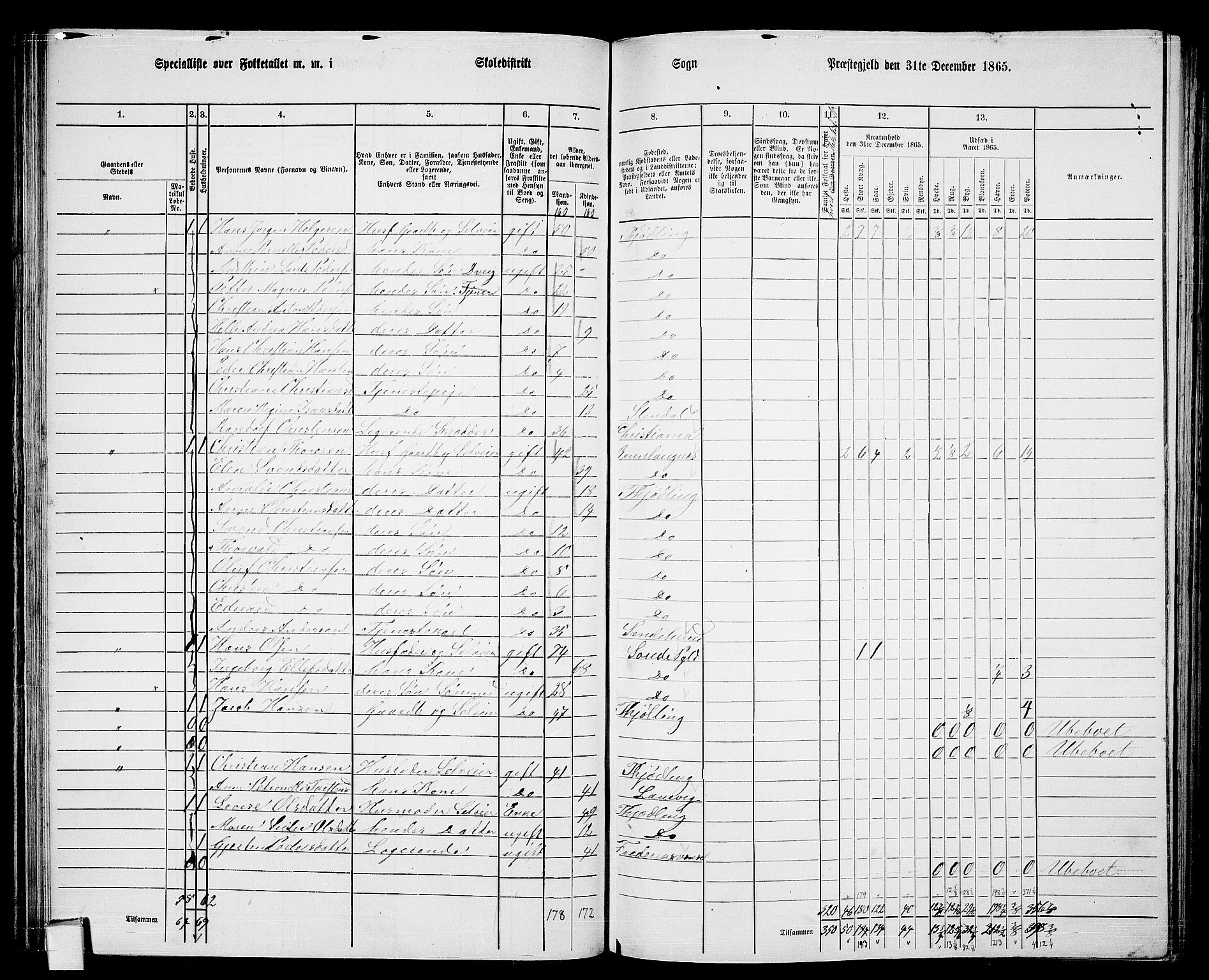 RA, Folketelling 1865 for 0725P Tjølling prestegjeld, 1865, s. 65