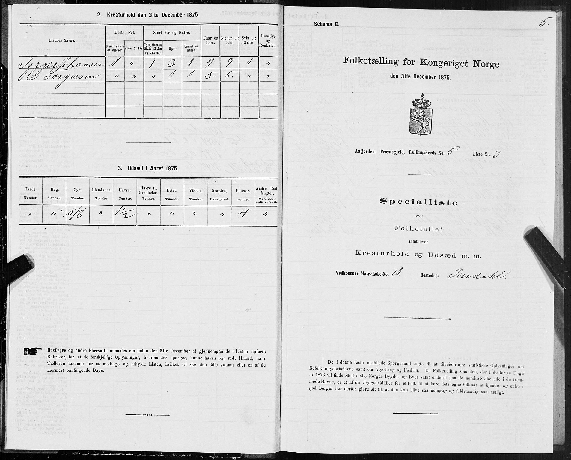 SAT, Folketelling 1875 for 1630P Aafjorden prestegjeld, 1875, s. 3005