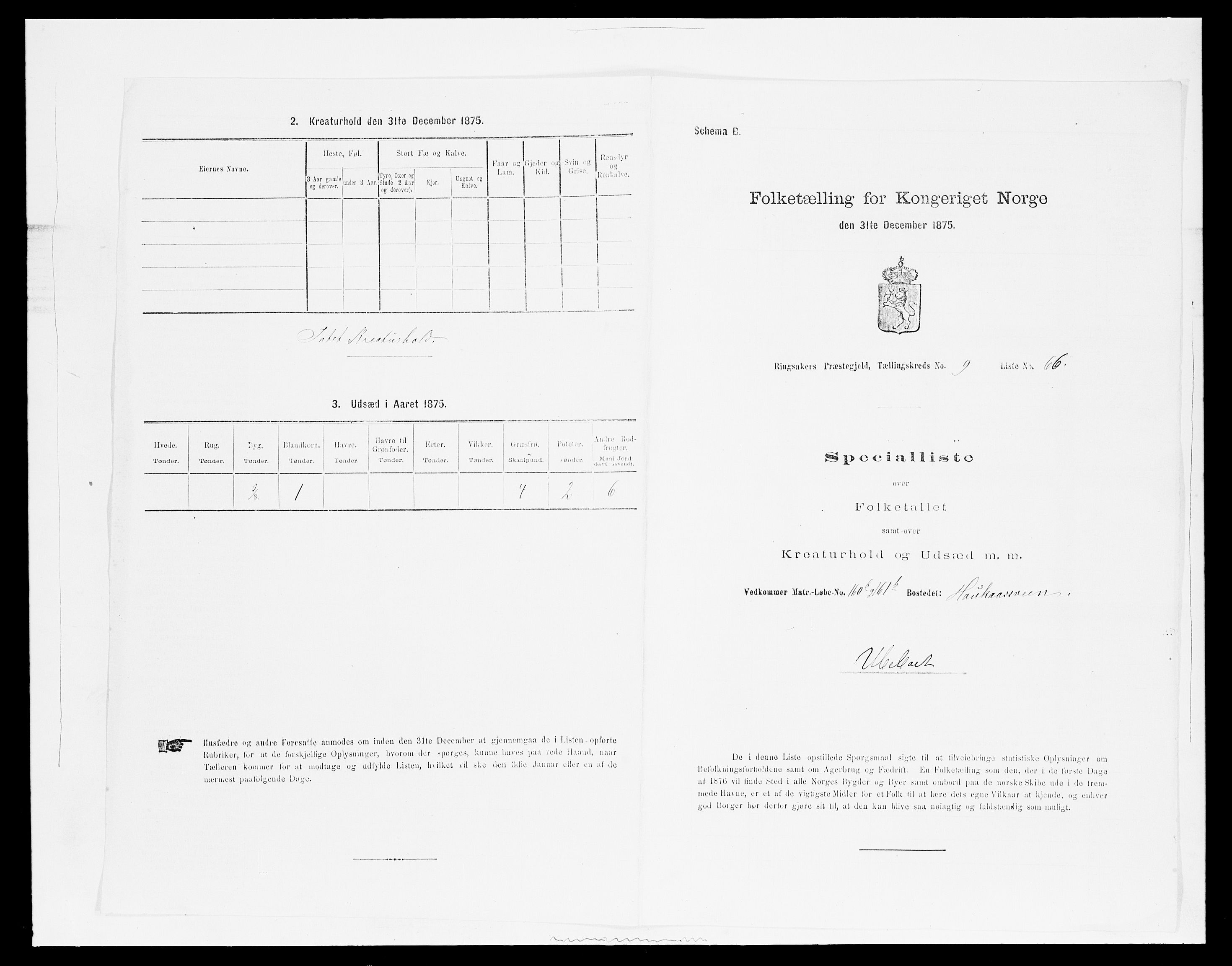 SAH, Folketelling 1875 for 0412P Ringsaker prestegjeld, 1875, s. 1924