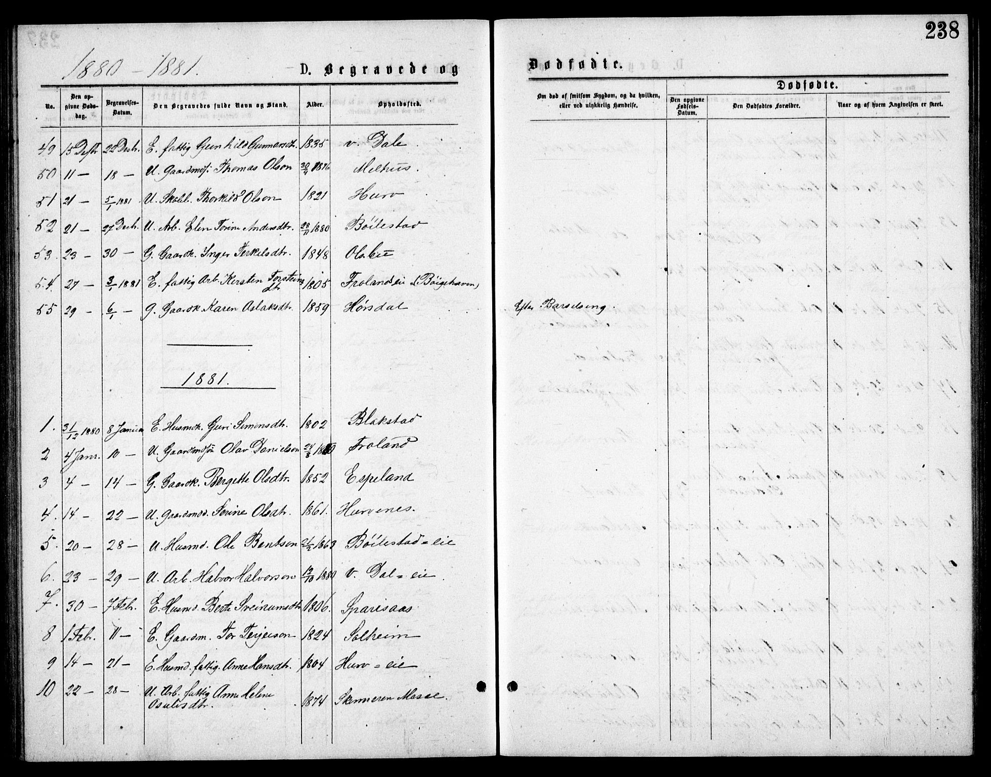 Froland sokneprestkontor, AV/SAK-1111-0013/F/Fb/L0009: Klokkerbok nr. B 9, 1875-1893, s. 238