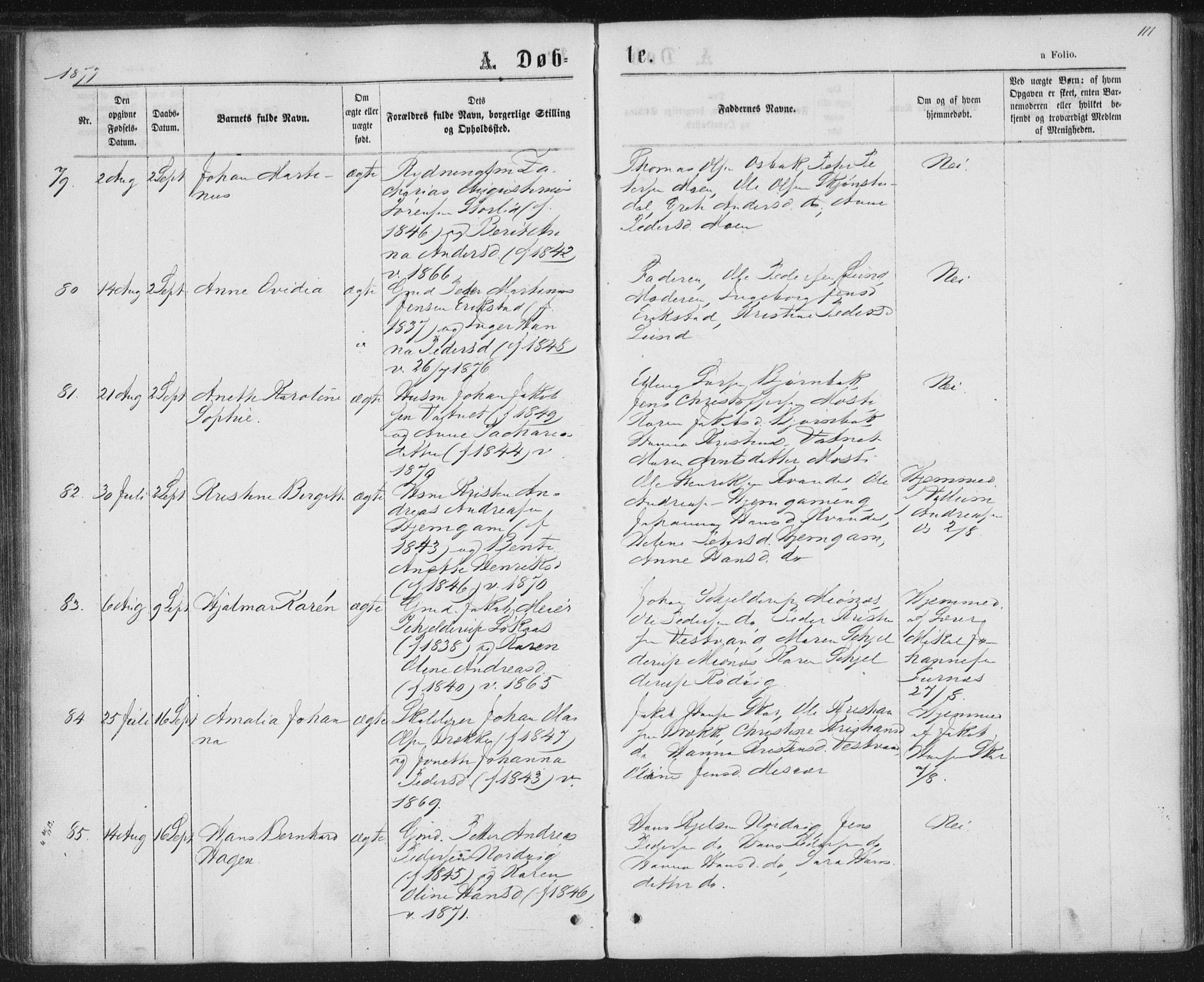 Ministerialprotokoller, klokkerbøker og fødselsregistre - Nordland, AV/SAT-A-1459/852/L0739: Ministerialbok nr. 852A09, 1866-1877, s. 111