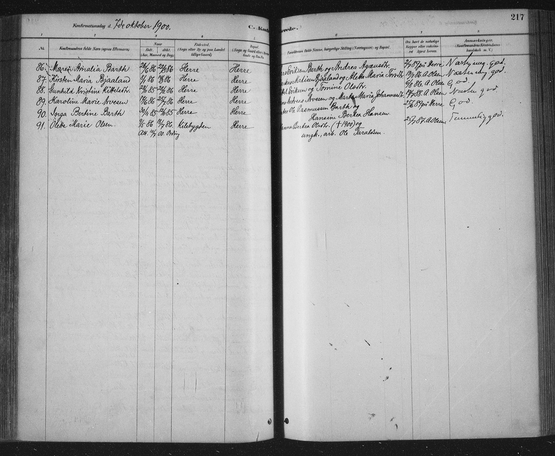 Bamble kirkebøker, AV/SAKO-A-253/F/Fa/L0007: Ministerialbok nr. I 7, 1878-1888, s. 217