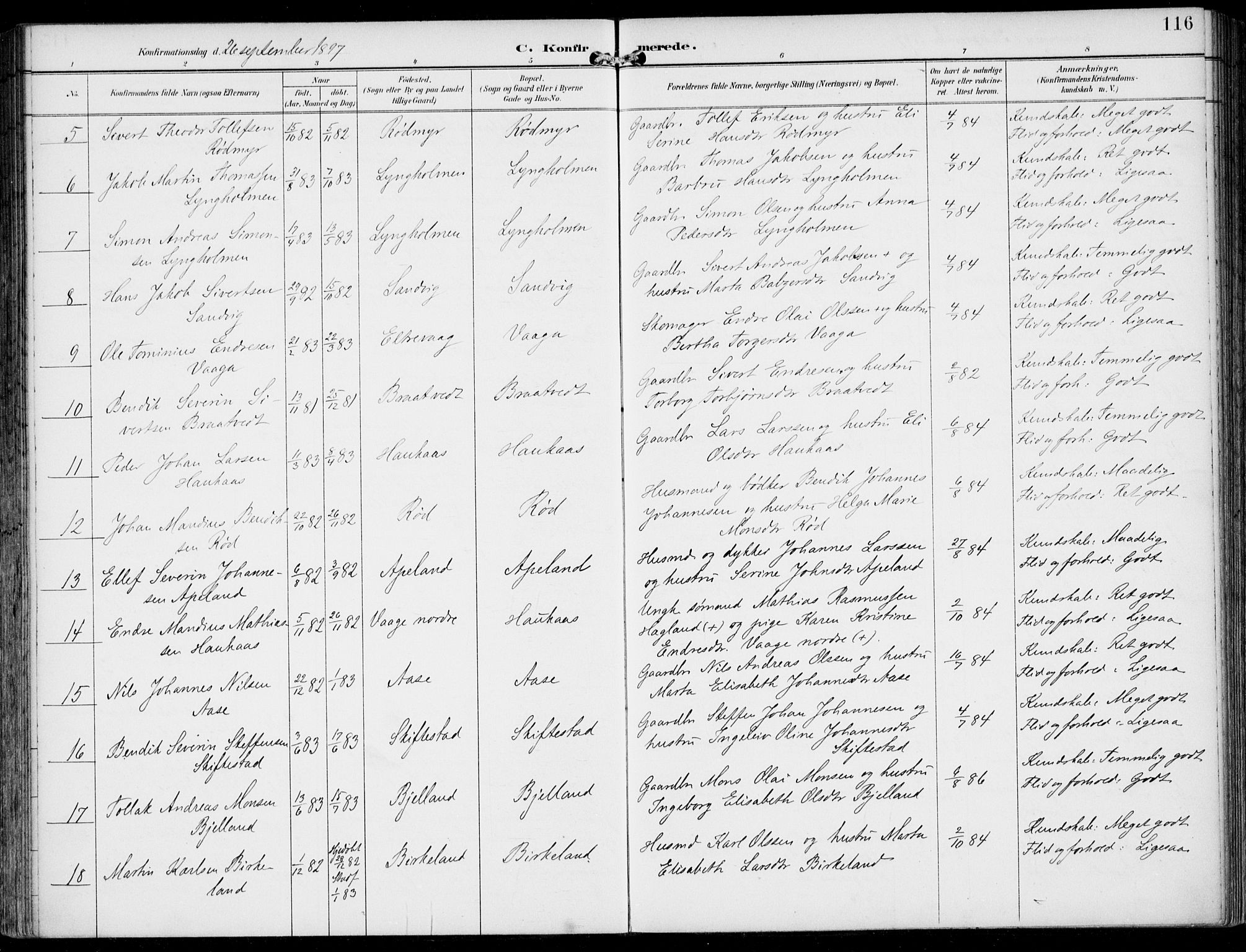 Sveio Sokneprestembete, AV/SAB-A-78501/H/Haa: Ministerialbok nr. B  3, 1894-1906, s. 116