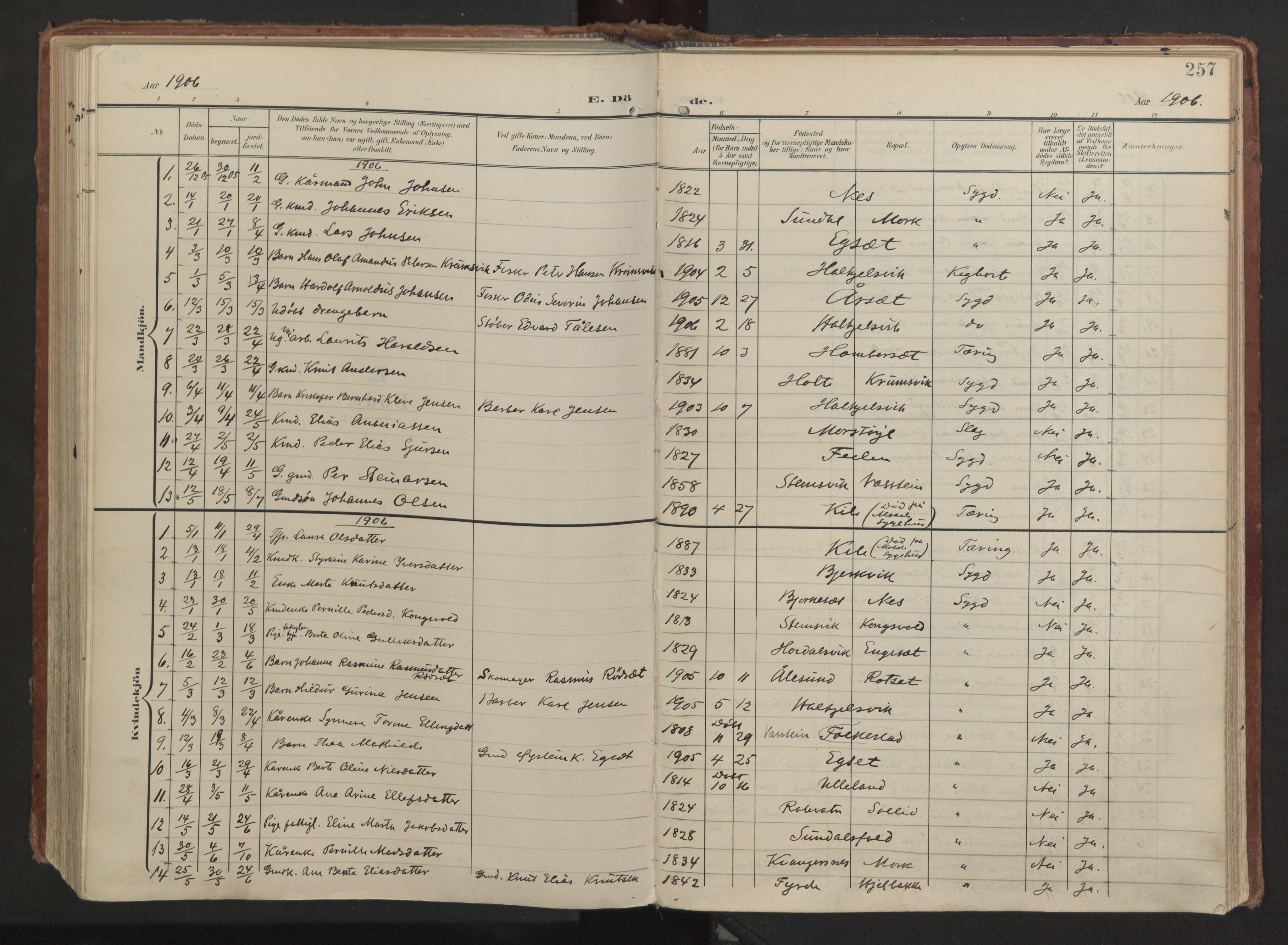 Ministerialprotokoller, klokkerbøker og fødselsregistre - Møre og Romsdal, AV/SAT-A-1454/511/L0144: Ministerialbok nr. 511A11, 1906-1923, s. 257