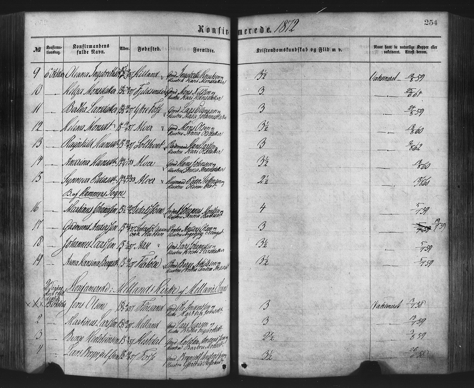 Hamre sokneprestembete, AV/SAB-A-75501/H/Ha/Haa/Haaa/L0015: Ministerialbok nr. A 15, 1870-1881, s. 254